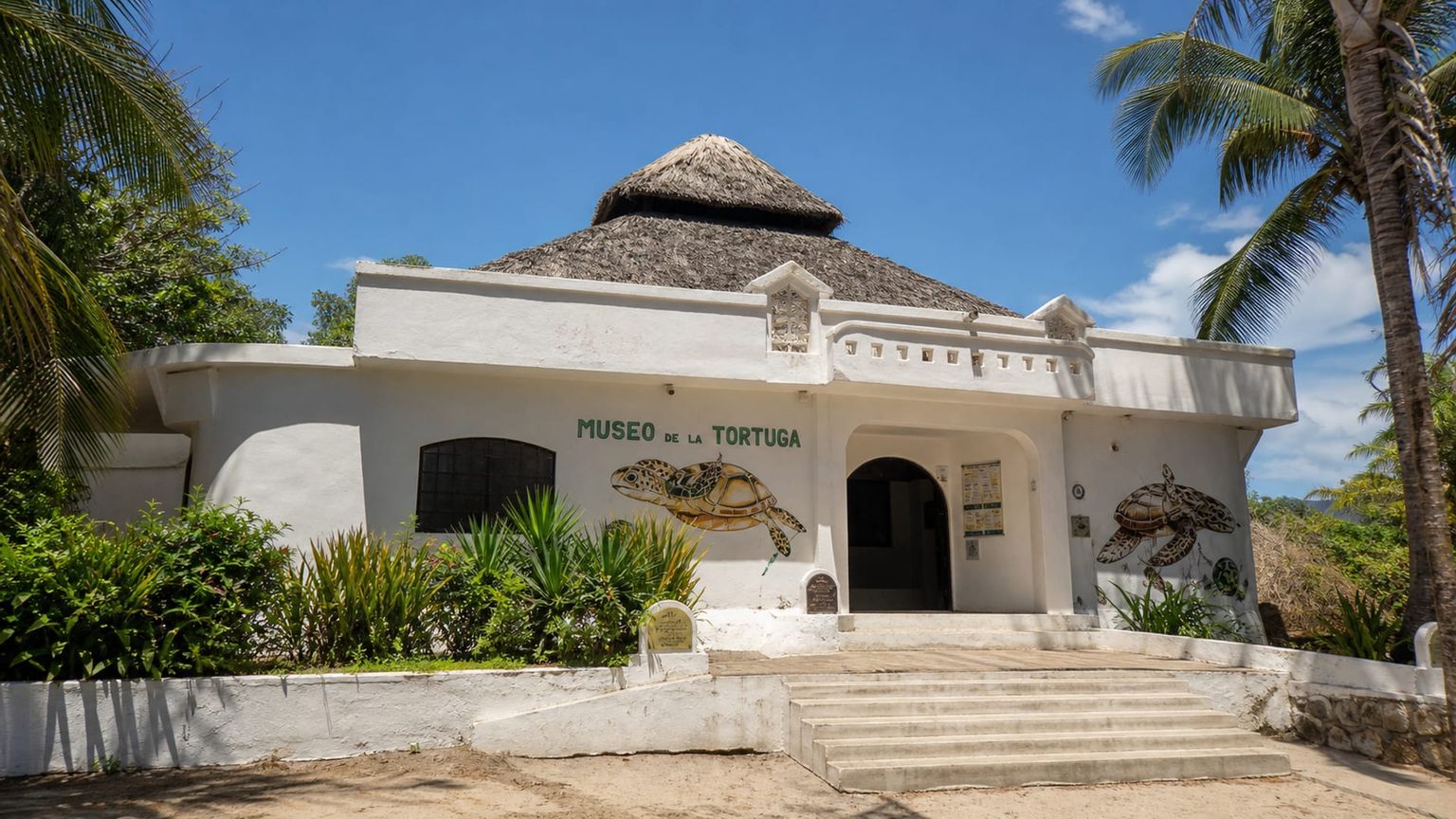 Puerto Escondido travel guide: How to experience the city without rushing 29 Day 3: Bacocho and Tortuga