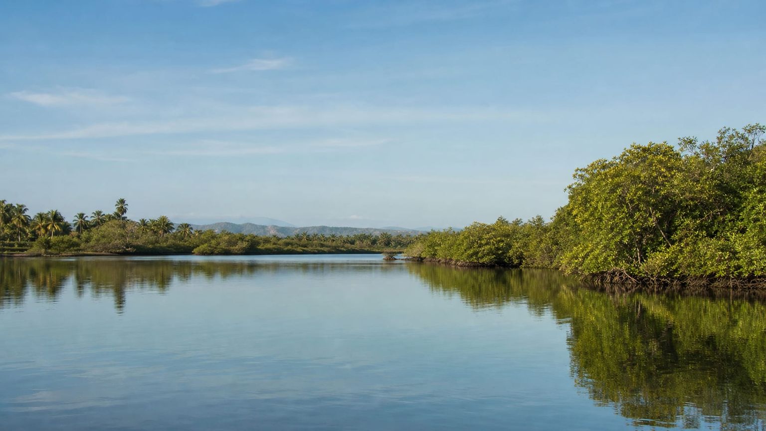 Puerto Escondido travel guide: How to experience the city without rushing 22 Laguna de Manialtepec