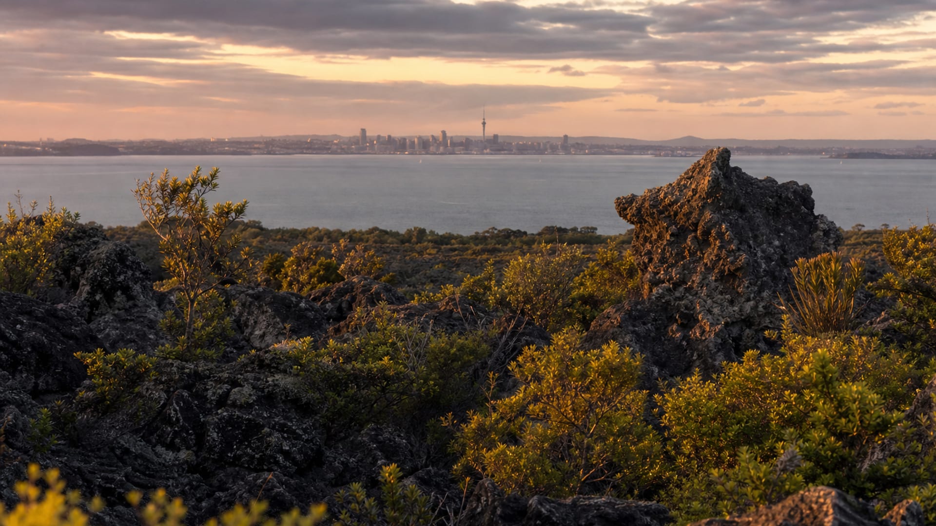 Auckland travel guide: How to experience the city without rushing 29 Day 3: Rangitoto Ferry Day