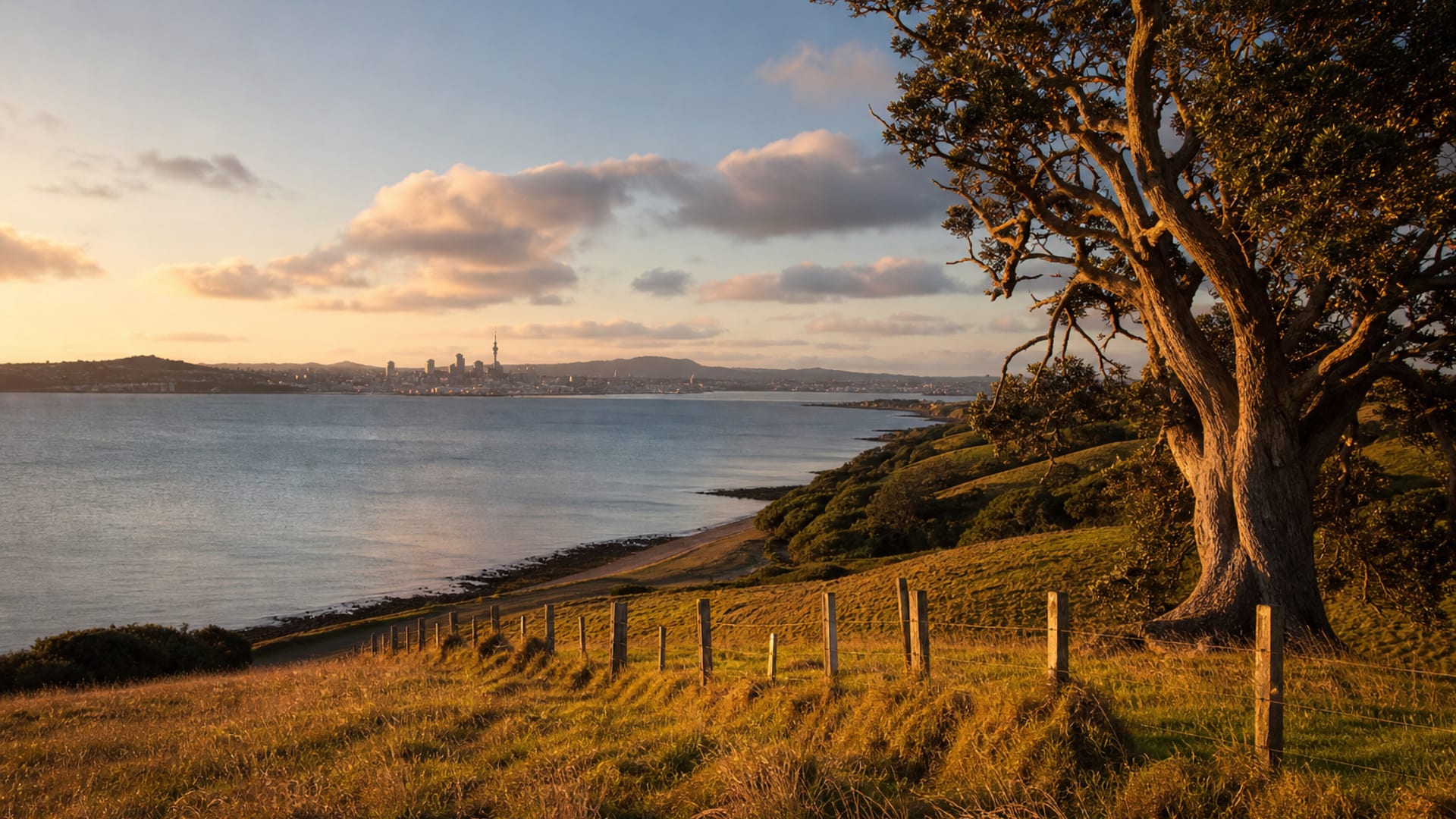 Auckland travel guide: How to experience the city without rushing 30 Day 4: Harborside Countryside