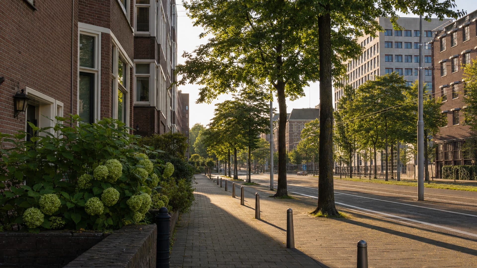 Amsterdam travel guide: How to experience the city without rushing 17 Amsterdam Zuid