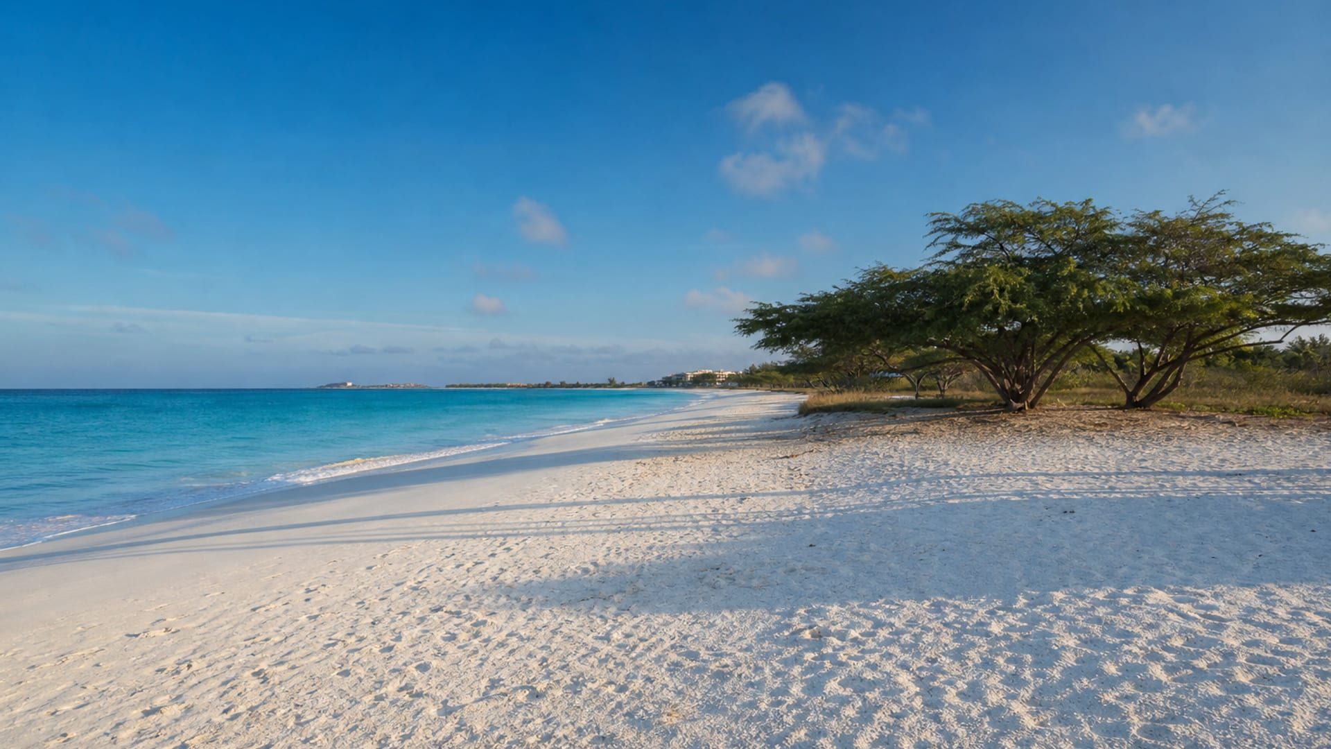 Aruba Island travel guide: How to experience the city without rushing 15 Eagle Beach