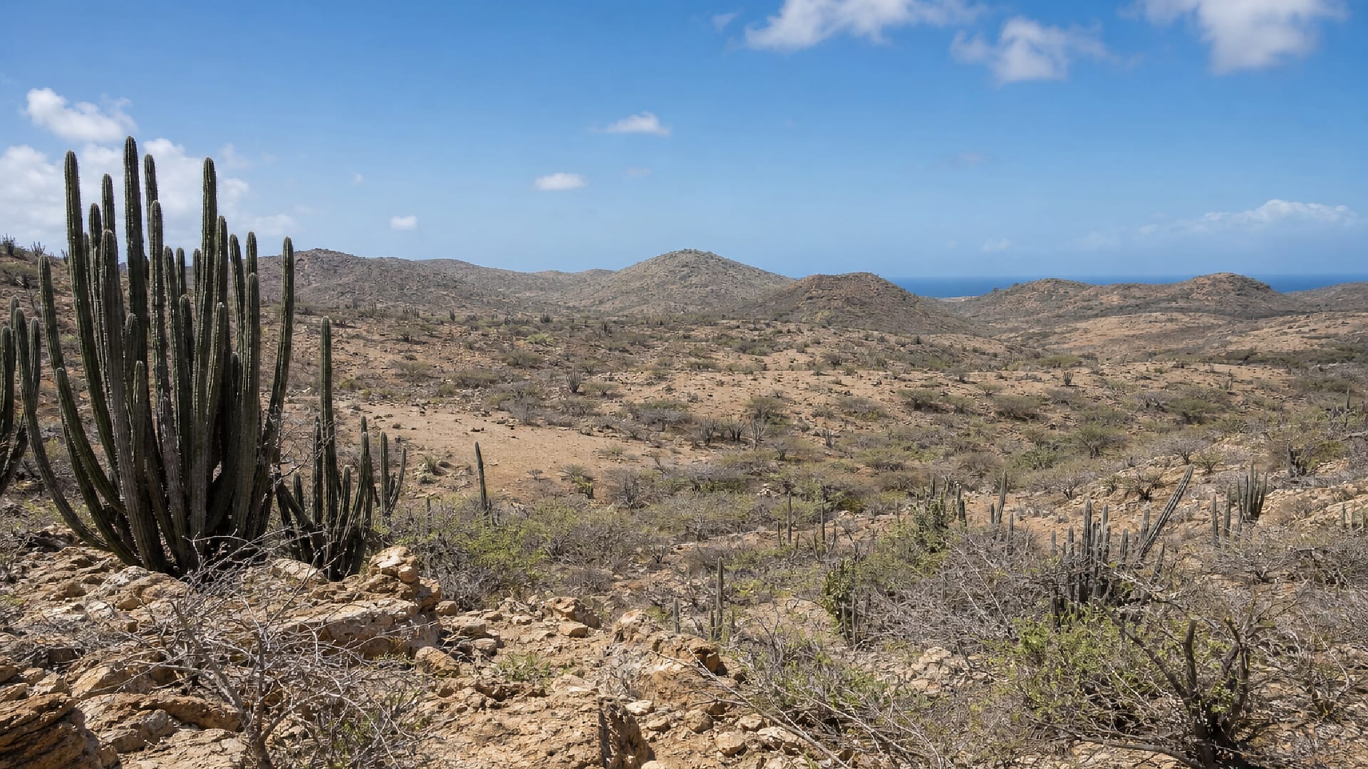Aruba Island travel guide: How to experience the city without rushing 16 Oranjestad
