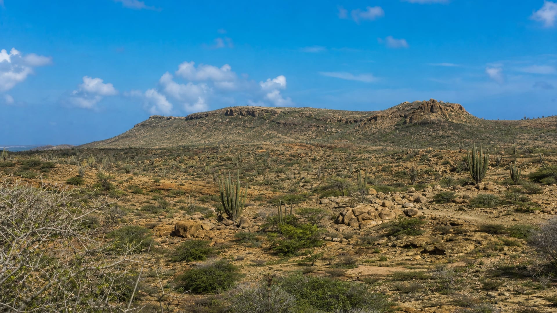 Aruba Island travel guide: How to experience the city without rushing 28 Day 3: Arikok Park Day