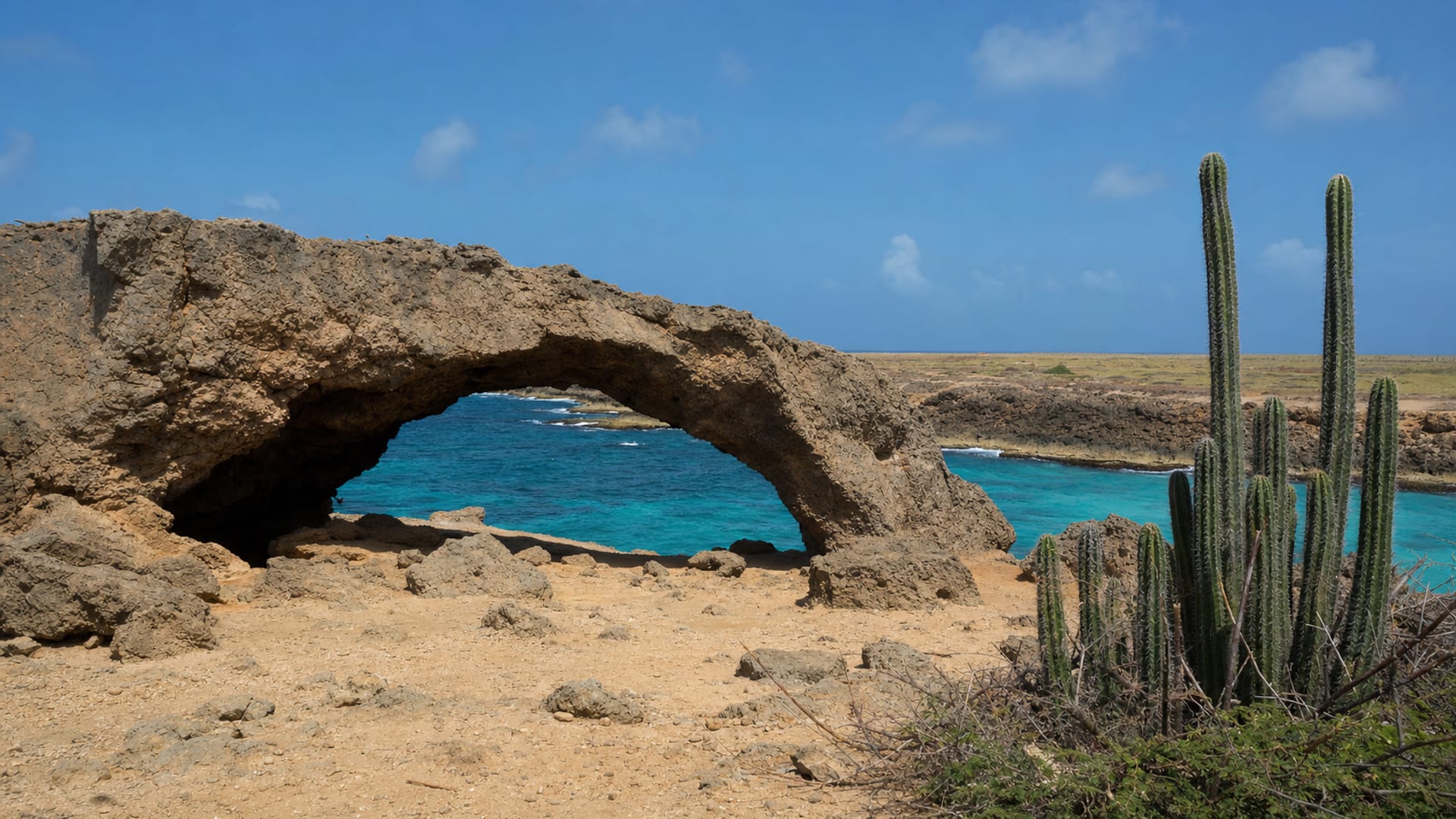 Aruba Island travel guide: How to experience the city without rushing 30 Day 5: Oranjestad and Departure