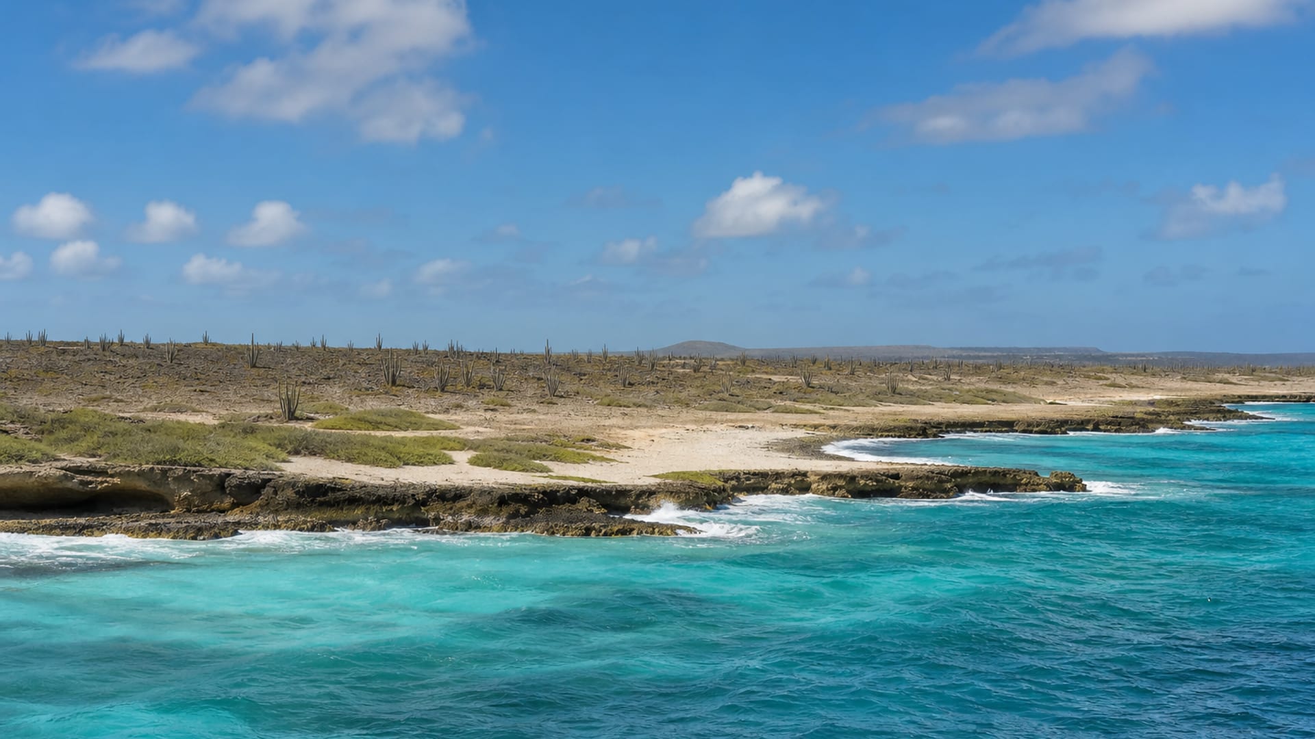Aruba Island travel guide: How to experience the city without rushing 31 Business-class flights from the US to Aruba Island
