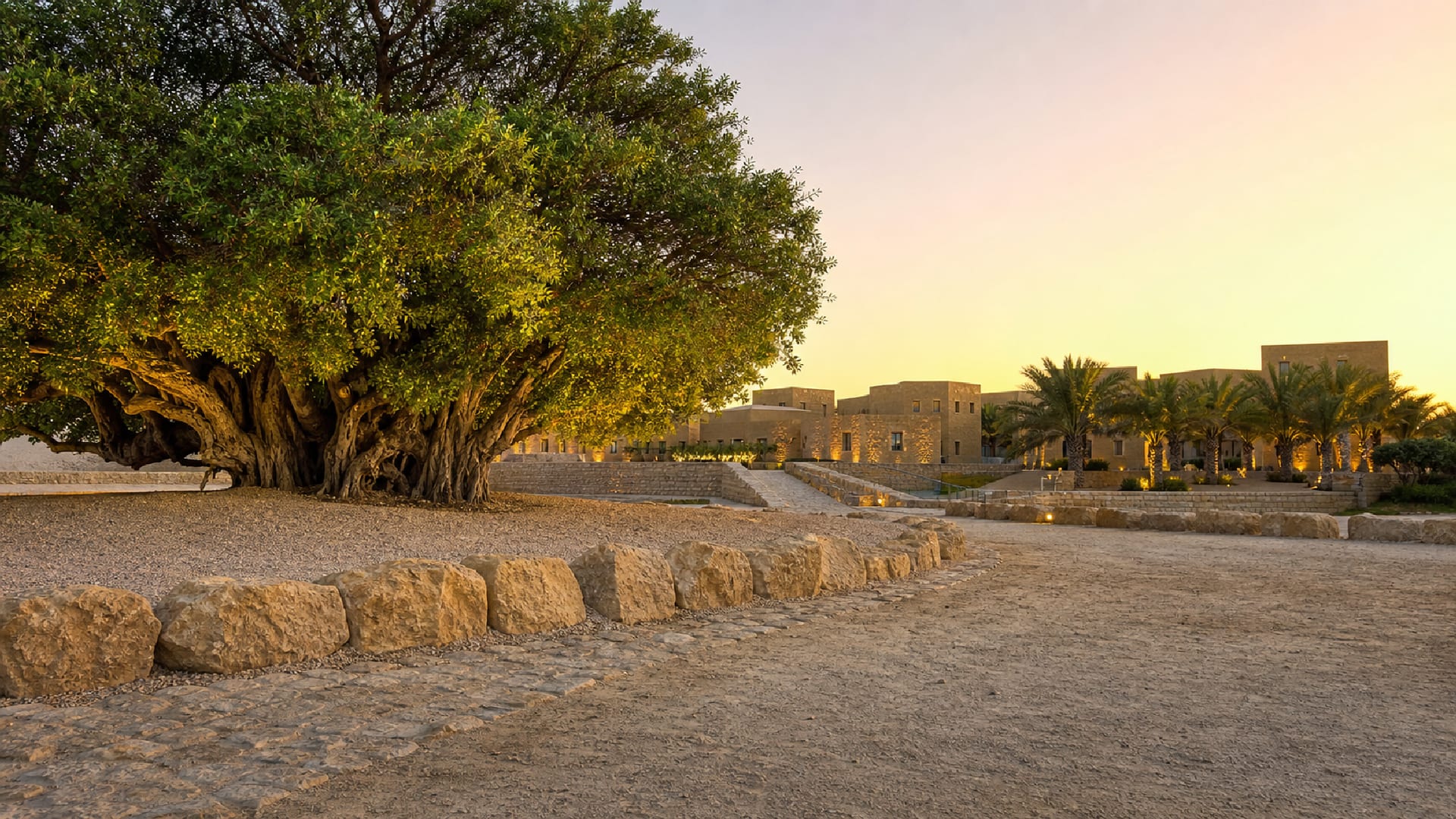Bahrain Island travel guide: How to experience the city without rushing 29 Day 4: Desert Tree and Muharraq
