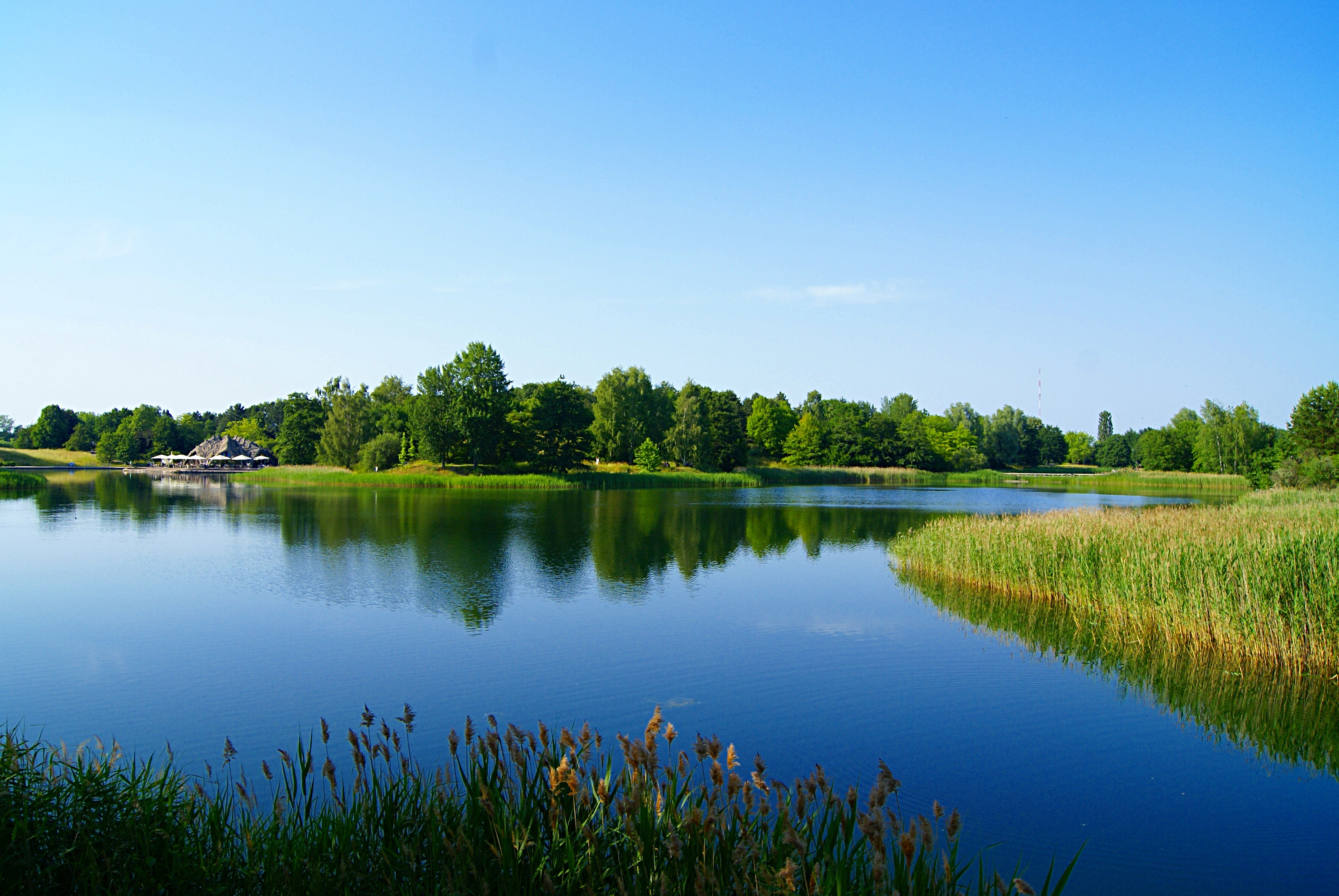 Berlin travel guide: How to experience the city without rushing 30 Day 4: Britzer Garten and Prenzlauer Berg