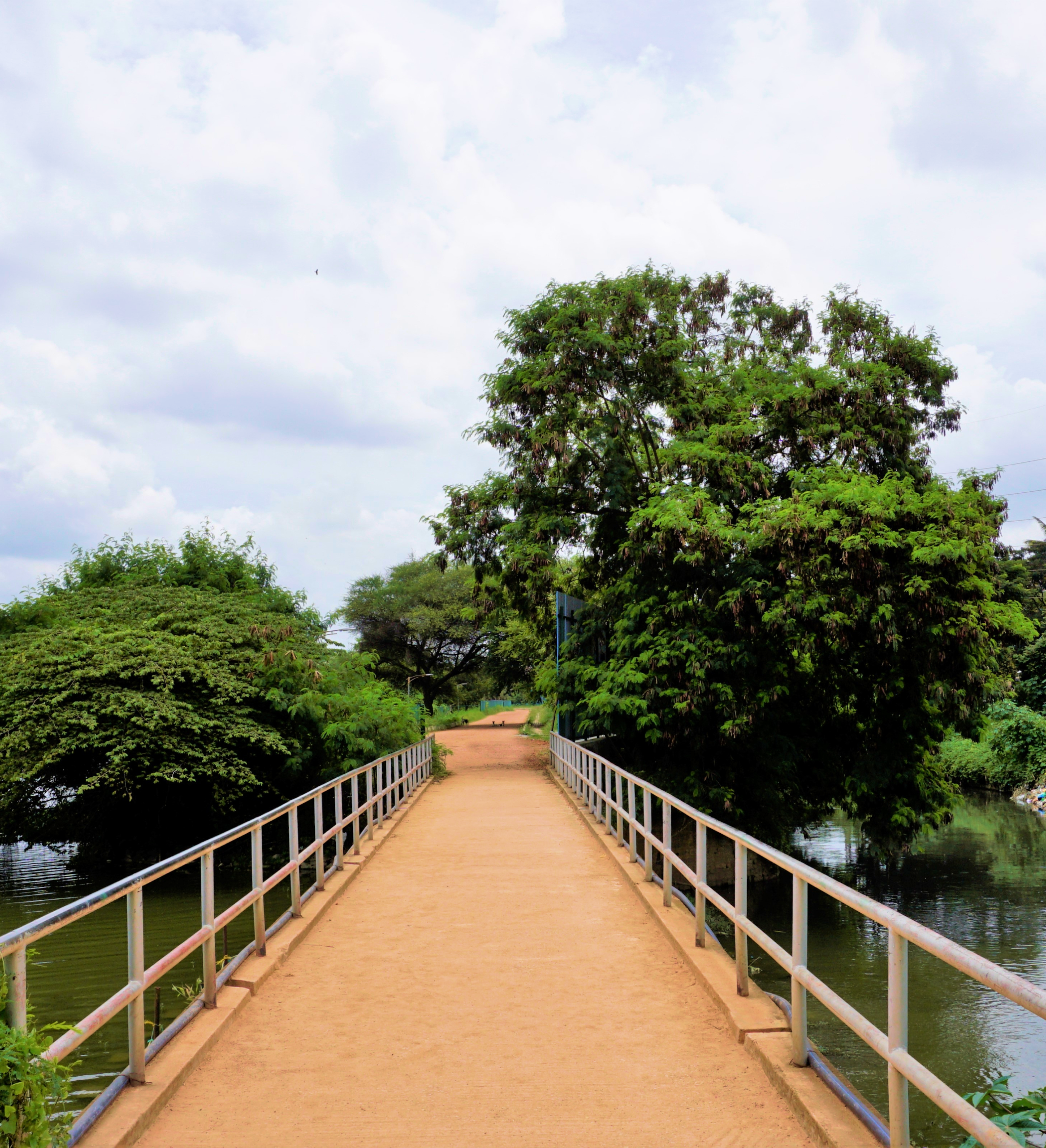 Kaikondrahalli Lake