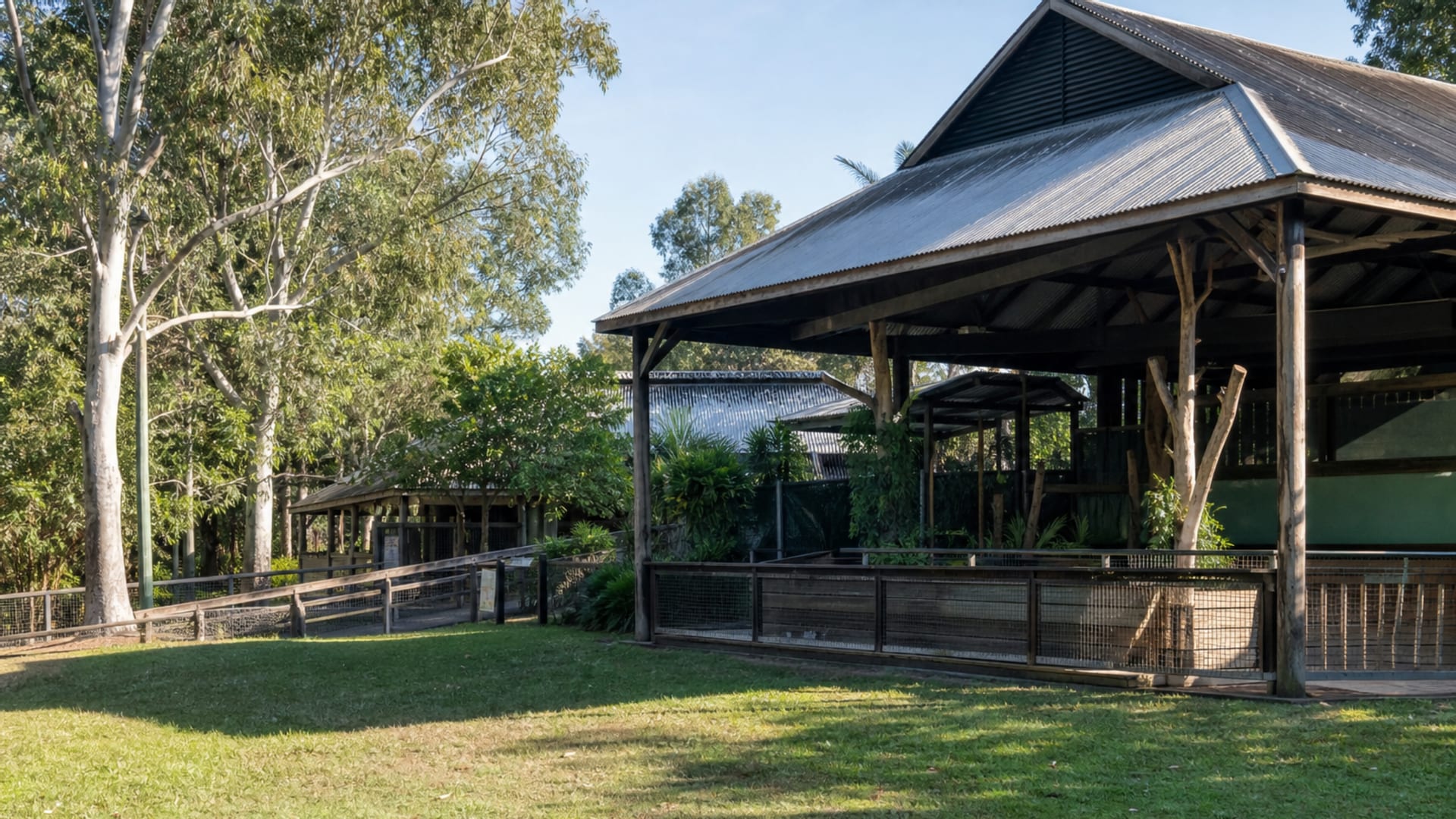 Brisbane travel guide: How to experience the city without rushing 22 Lone Pine Koala Sanctuary