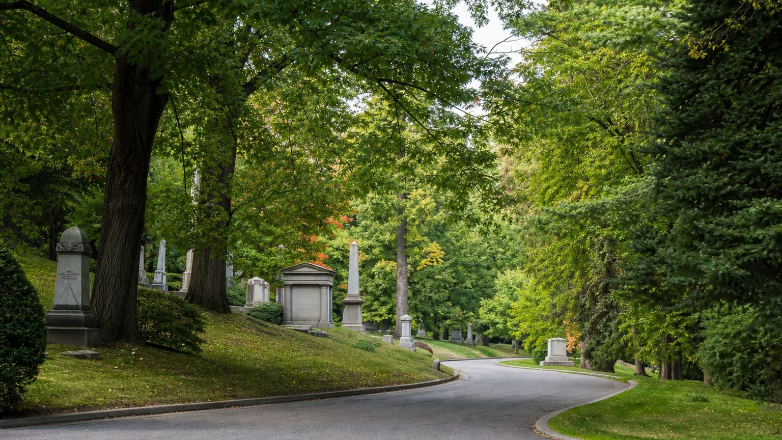 Boston travel guide: How to experience the city without rushing 30 Day 4: Mount Auburn and Seaport