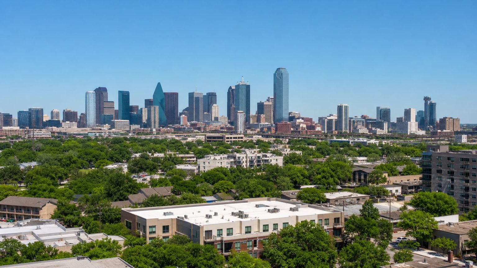 Dallas travel guide: How to experience the city without rushing 26 Traditional food