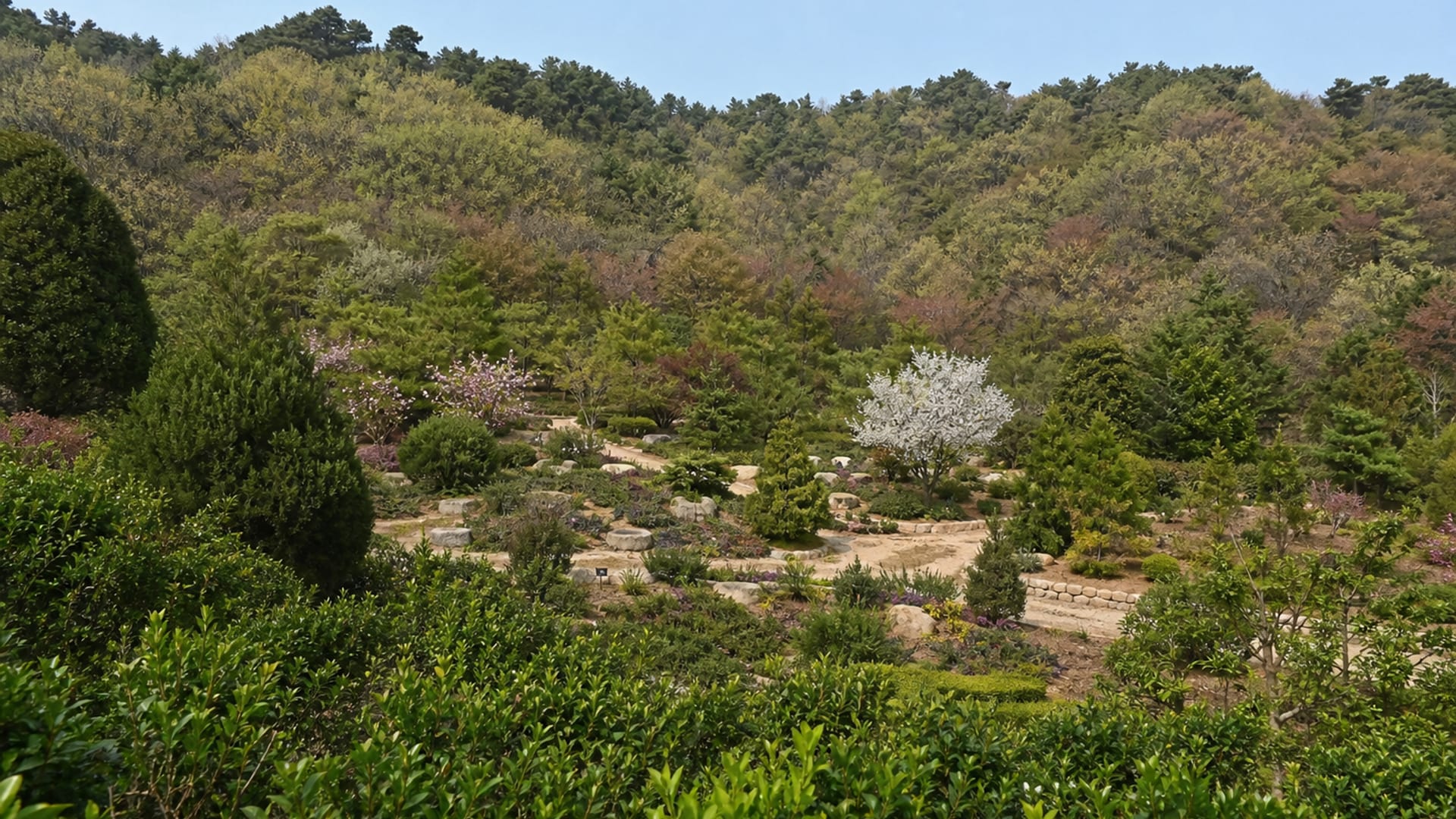Dalian travel guide: How to experience the city without rushing 28 Day 3: Garden and Museum