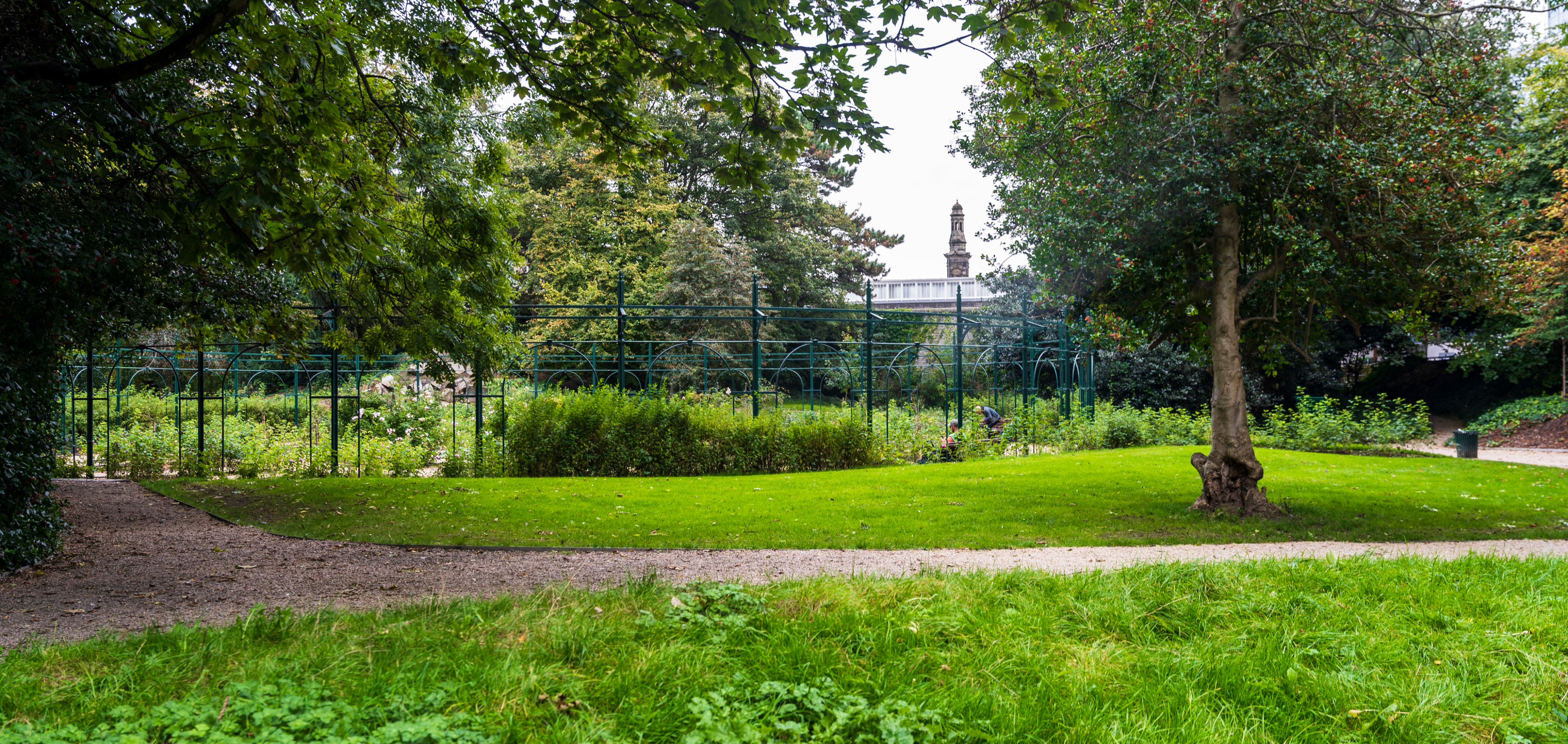Dublin travel guide: How to experience the city without rushing 29 Day 4: Iveagh Gardens and Ballsbridge