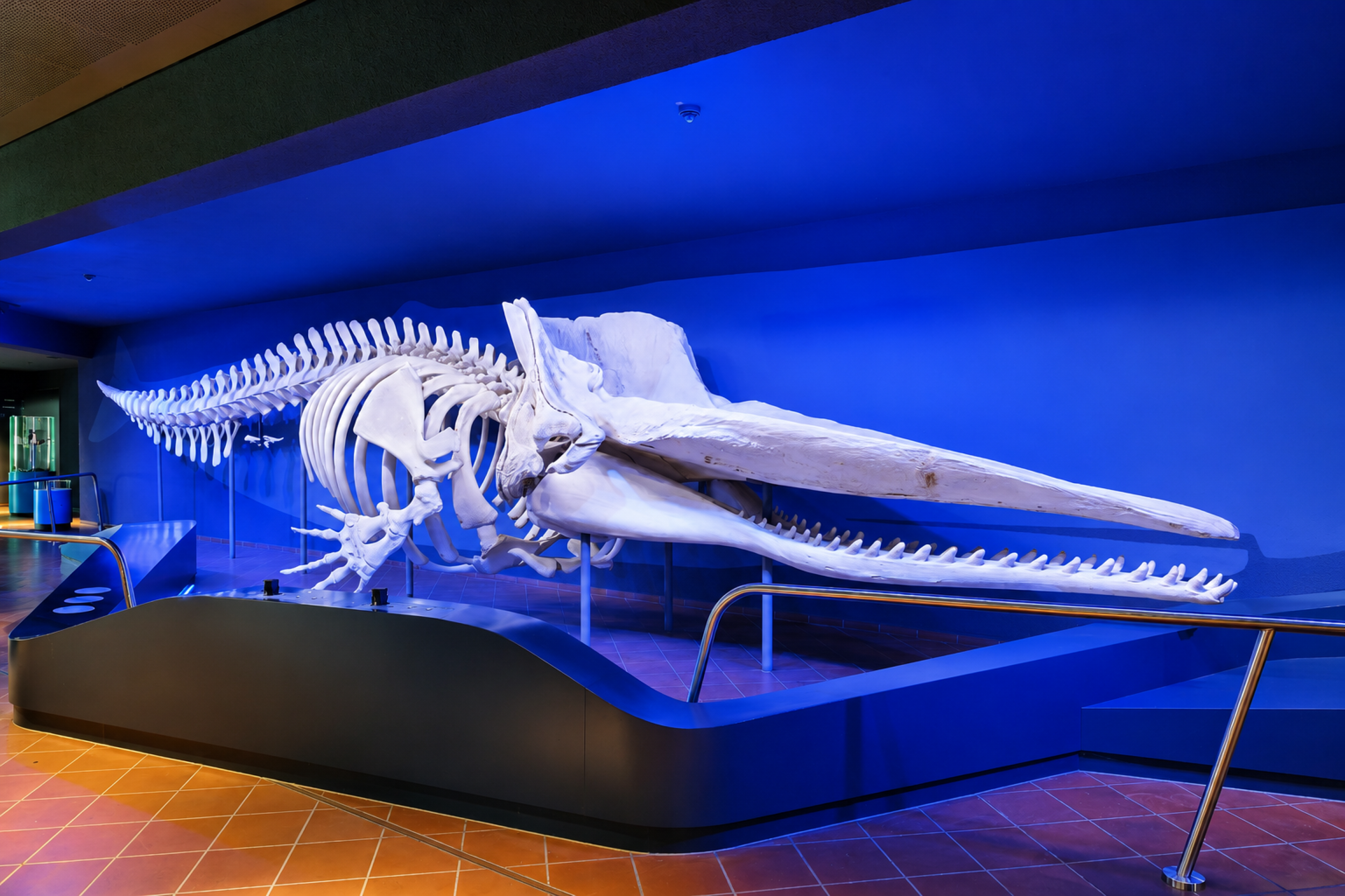 Aquazoo Löbbecke Museum