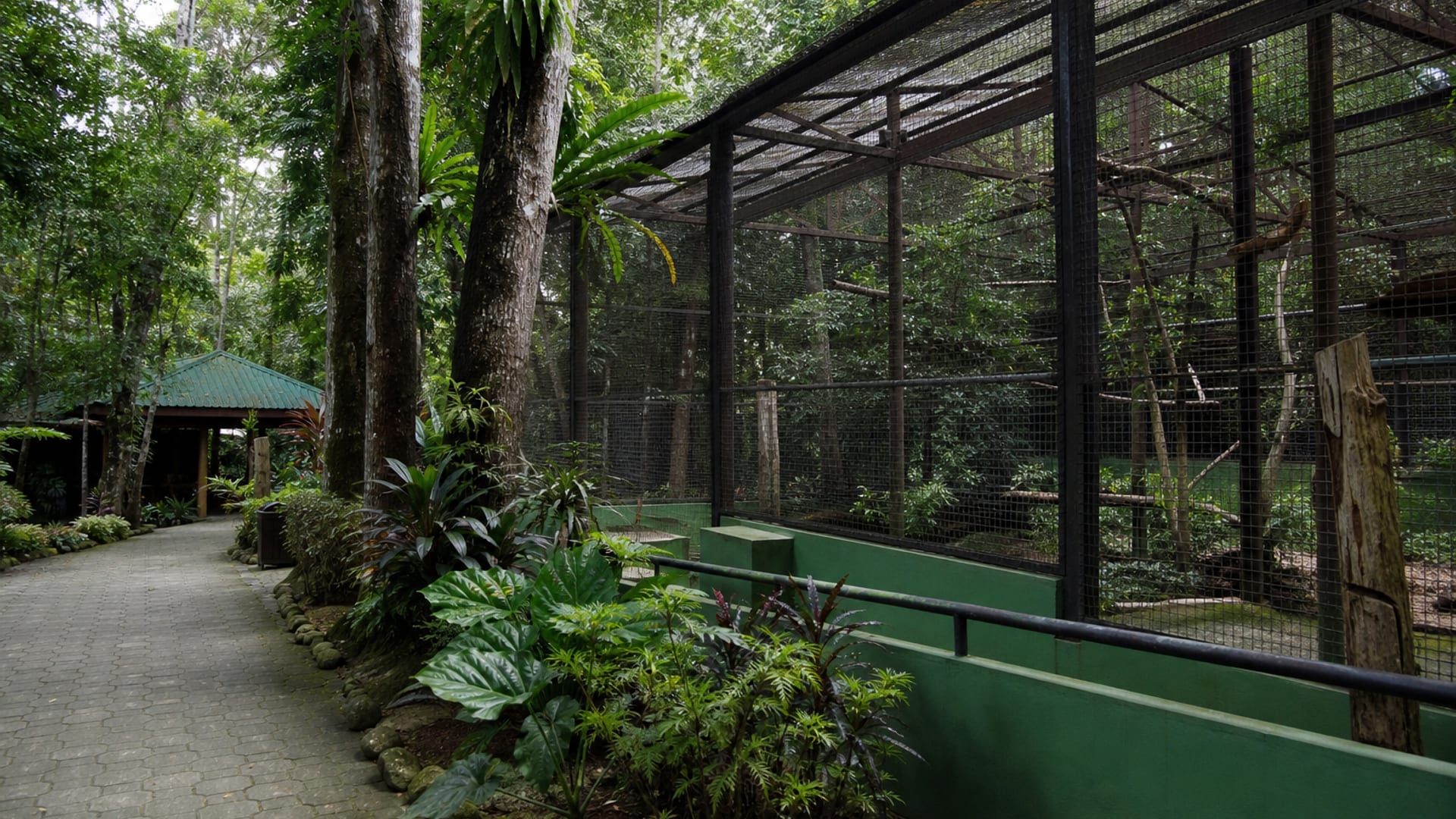 Davao travel guide: How to experience the city without rushing 29 Day 3: Malagos Wildlife Day