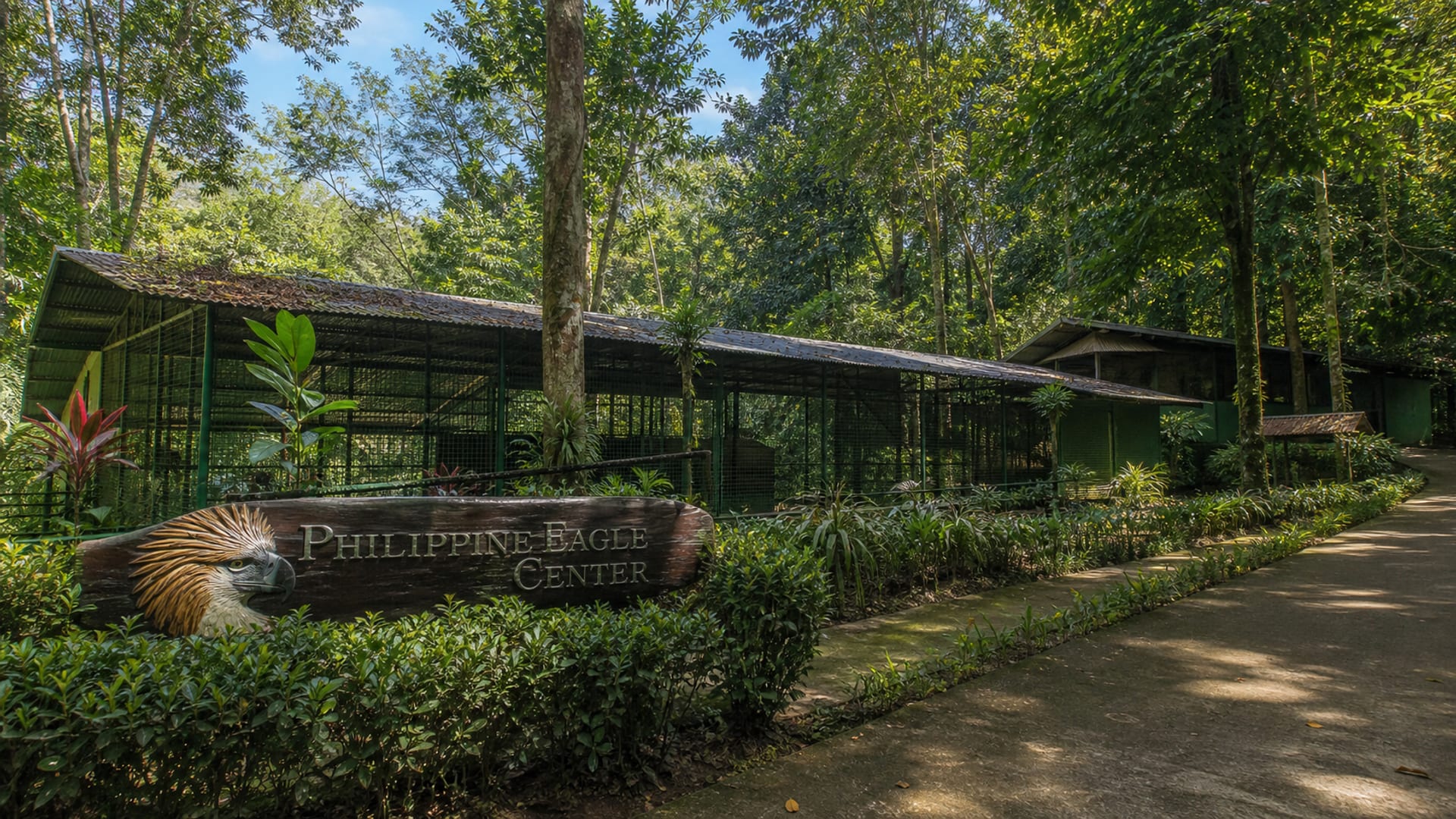 Davao travel guide: How to experience the city without rushing 21 Philippine Eagle Center