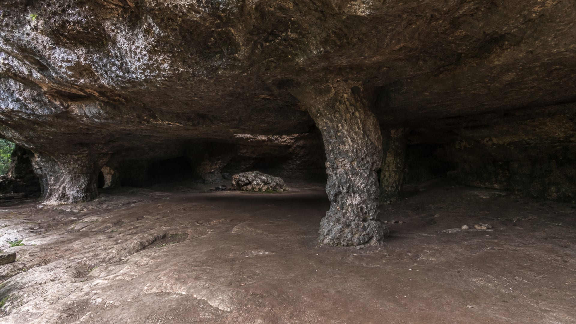 Enugu travel guide: How to experience the city without rushing 28 Day 3: Ngwo Pine Forest
