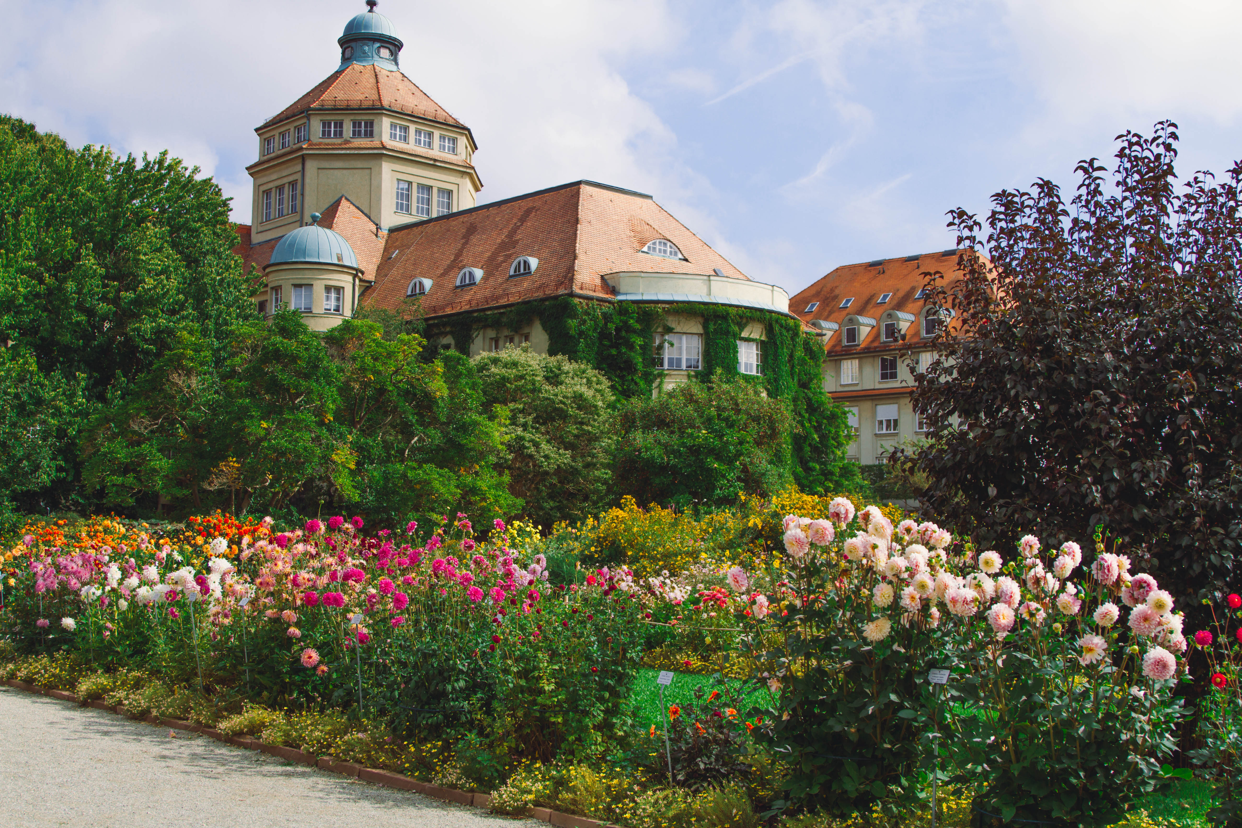 Day 3: Palmengarten and Lohrberg