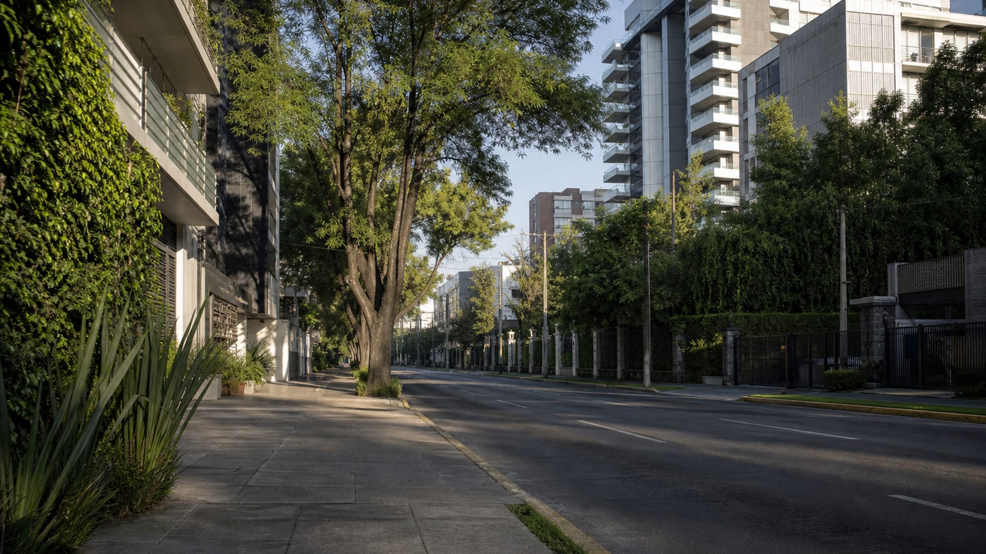 Guadalajara travel guide: How to experience the city without rushing 15 Providencia