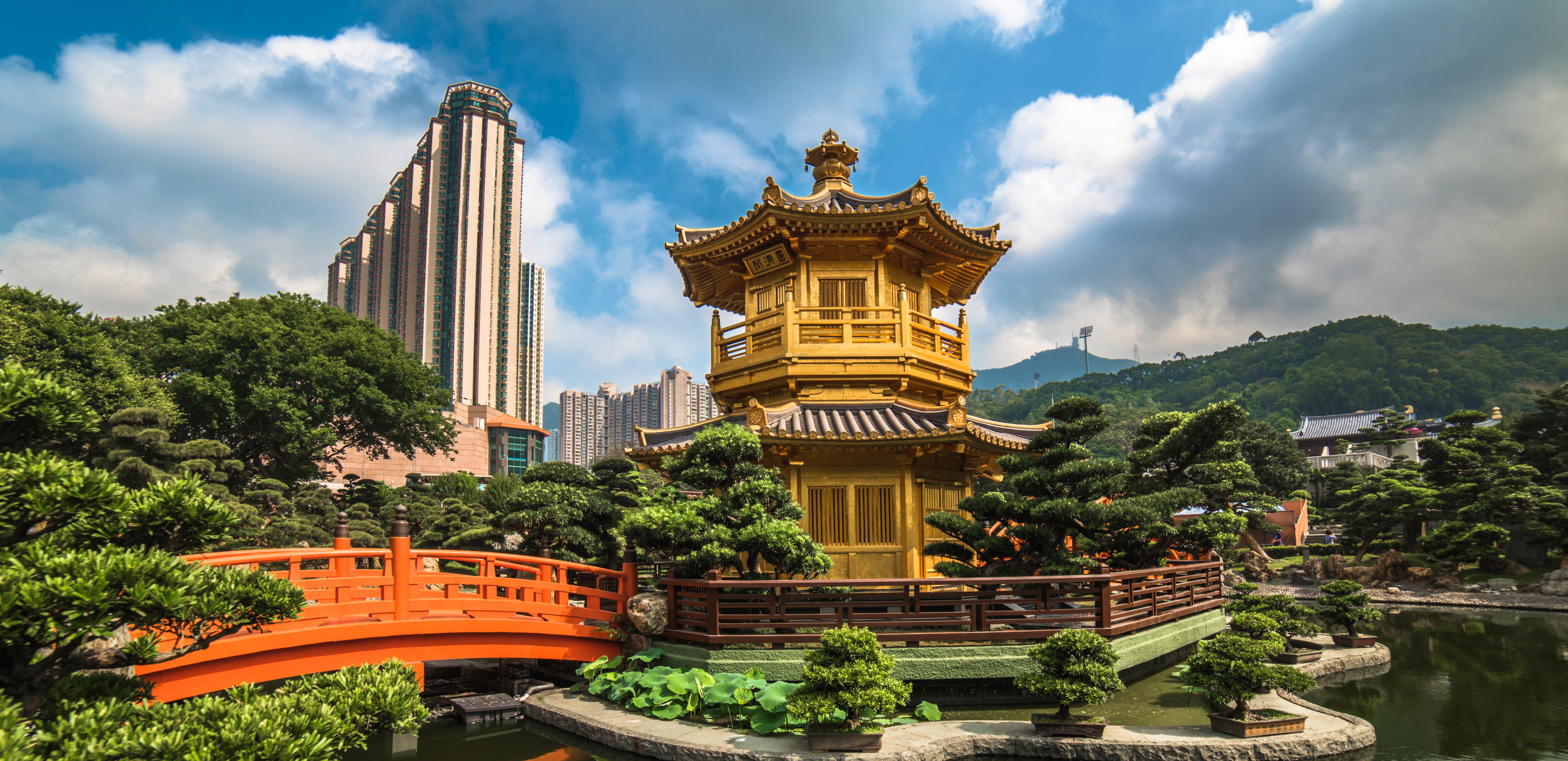 Hong Kong travel guide: How to experience the city without rushing 3 Useful things to know