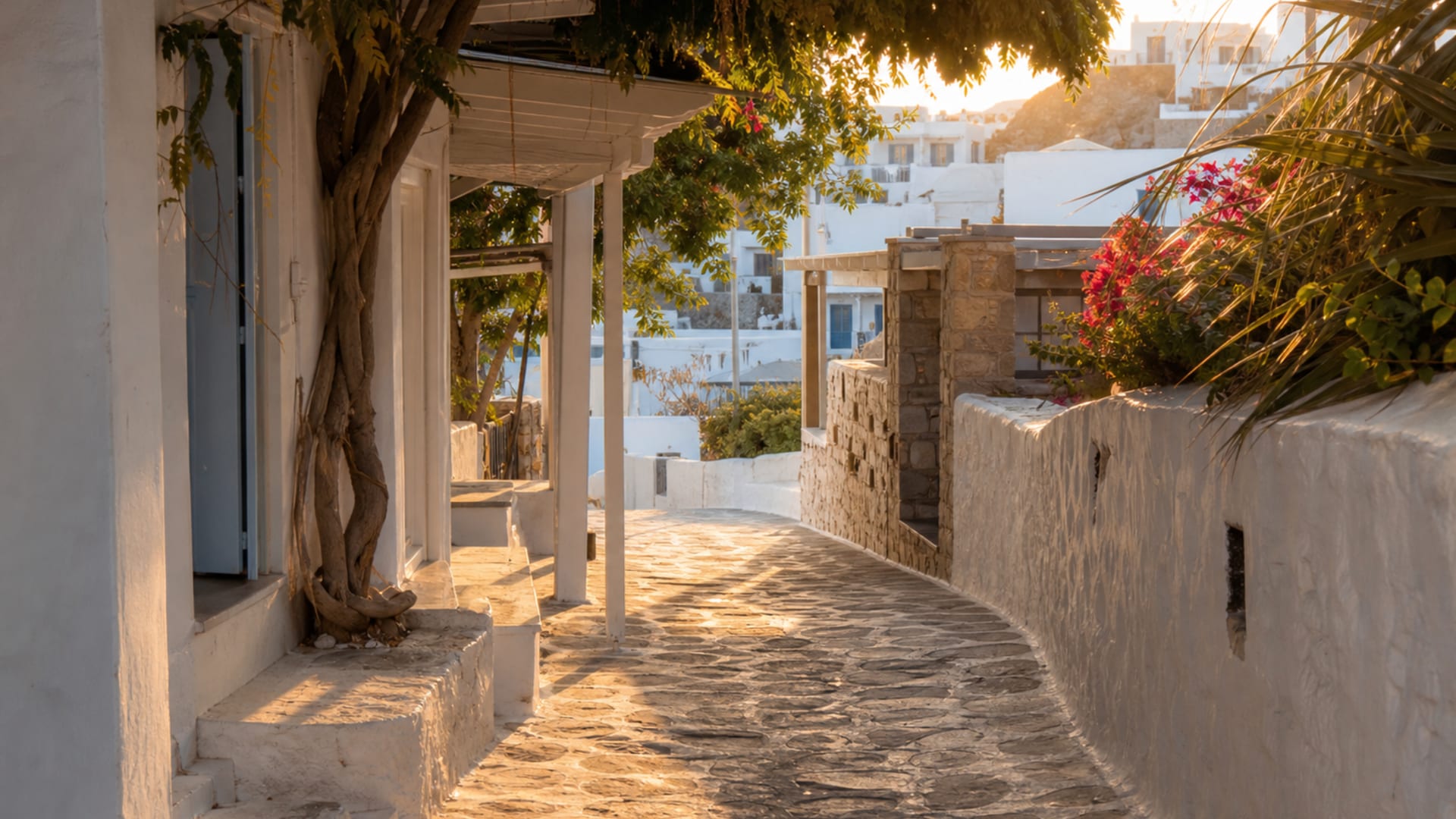 Mykonos travel guide: How to experience the city without rushing 16 Platis Gialos