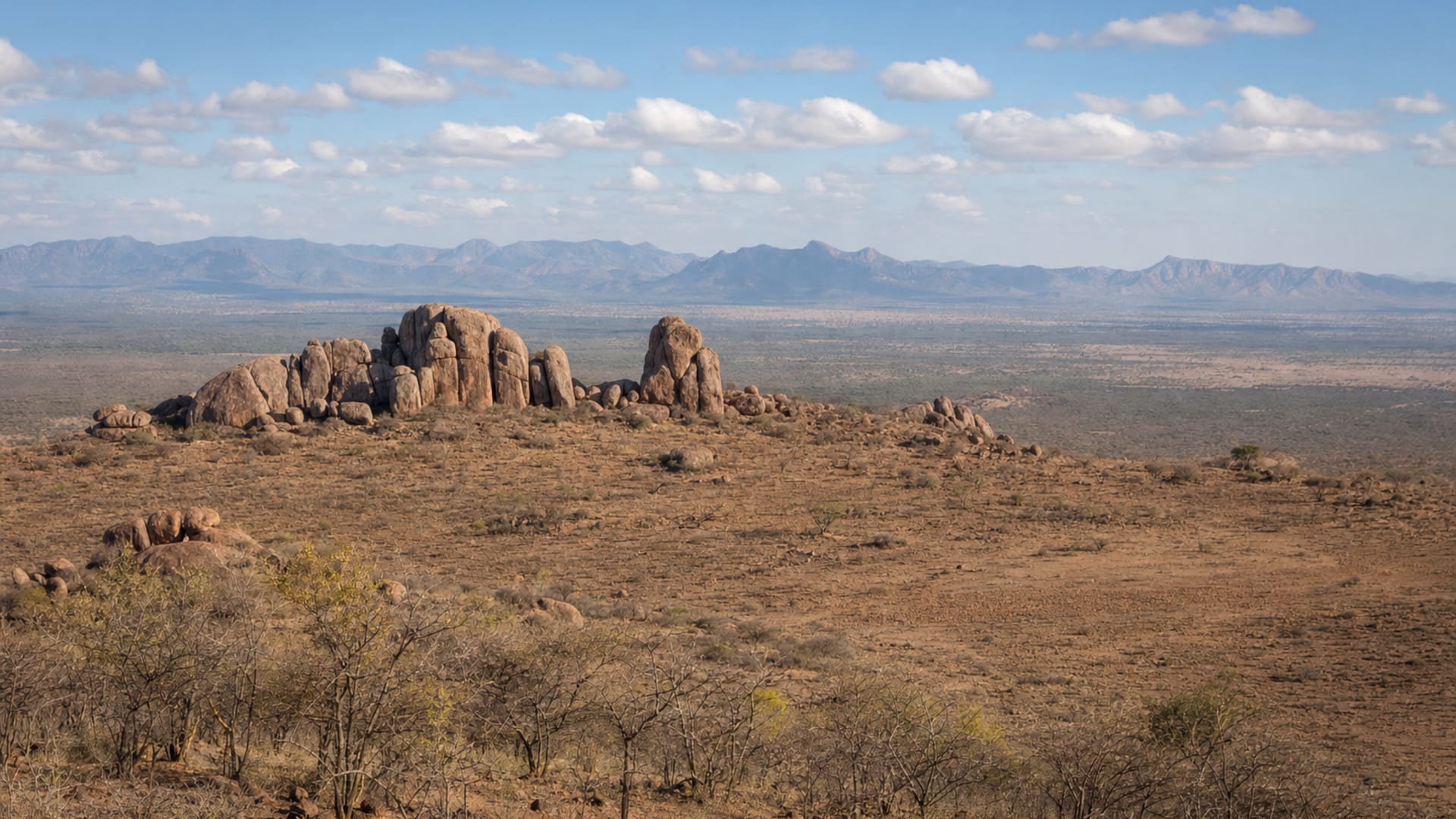Boma la Ngombe travel guide: How to experience the city without rushing 29 Day 4: Mkomazi Safari Day