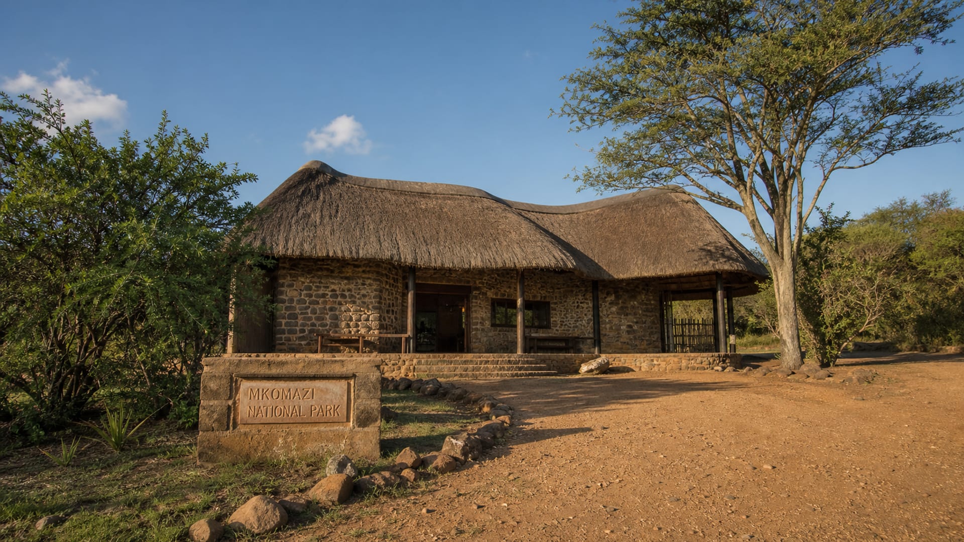 Boma la Ngombe travel guide: How to experience the city without rushing 21 Mkomazi National Park