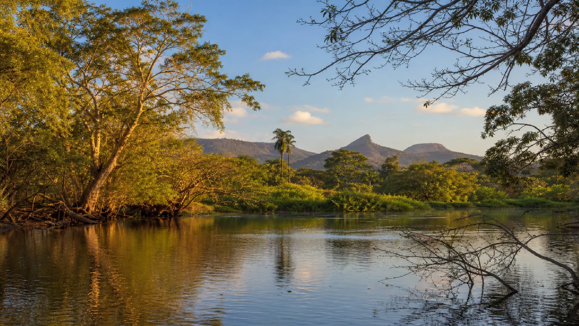 Liberia travel guide: How to experience the city without rushing 29 Day 4: Palo Verde by Boat