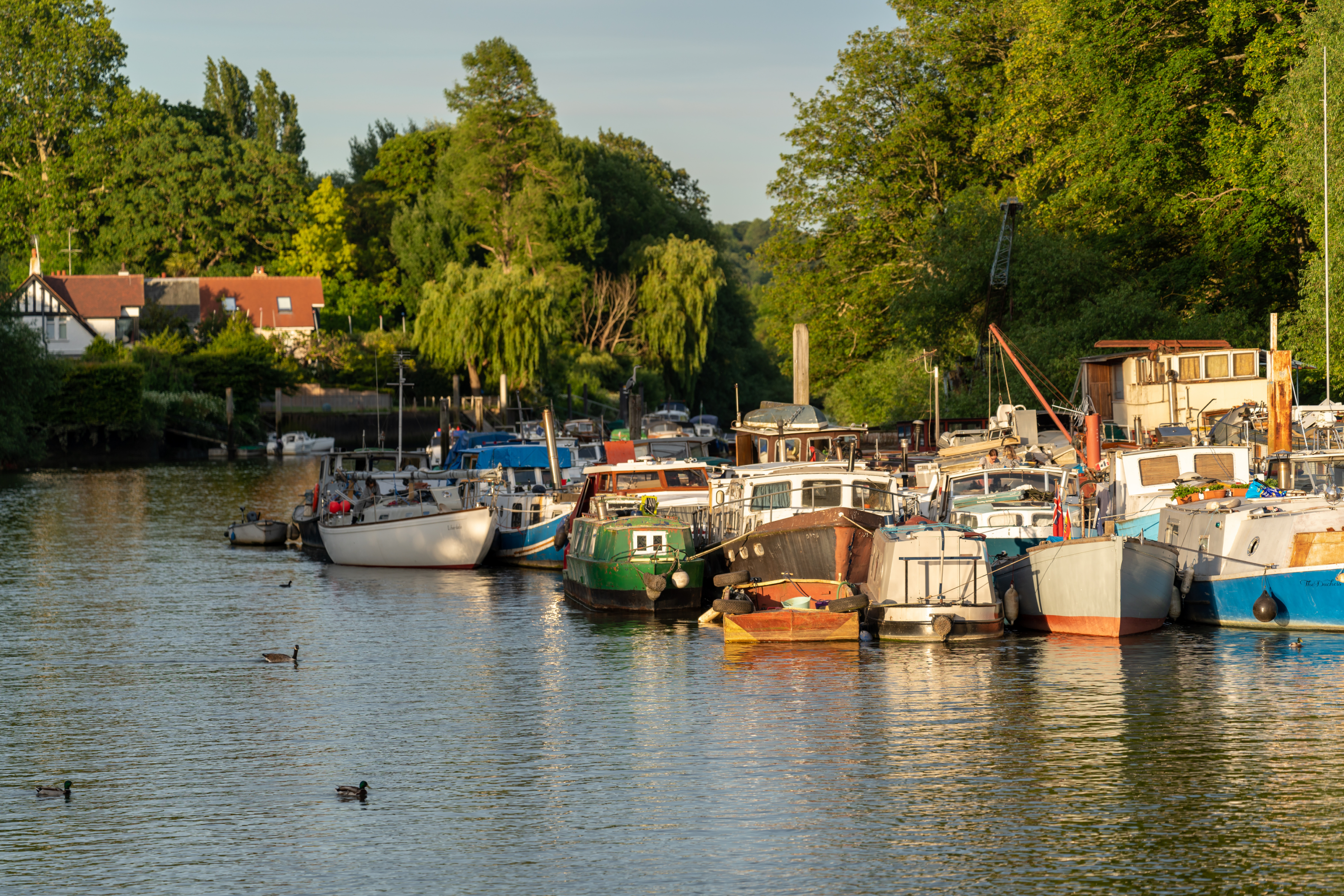 Eel Pie Island