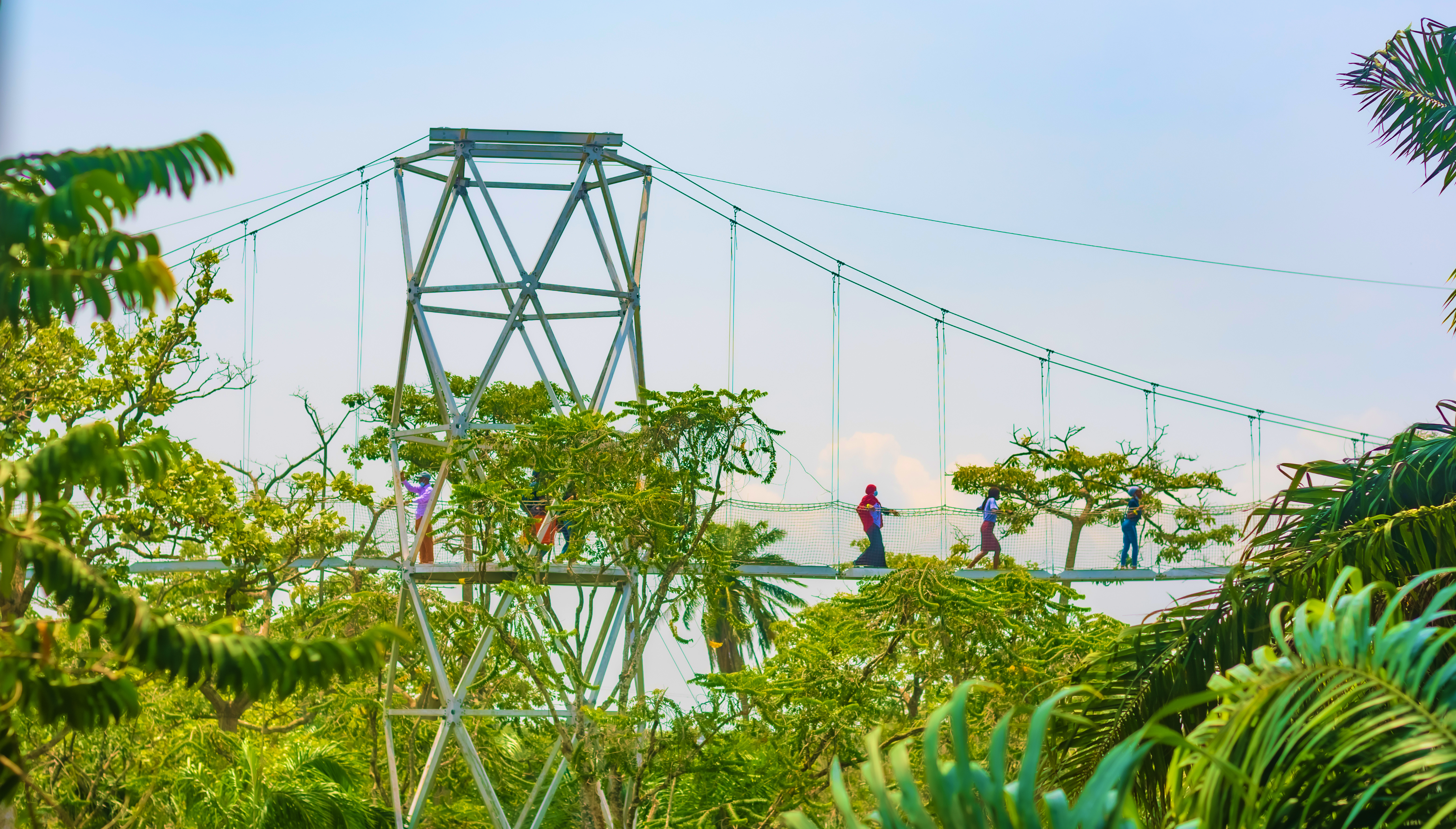 Lagos travel guide: How to experience the city without rushing 29 Day 3: Lekki Conservation Centre