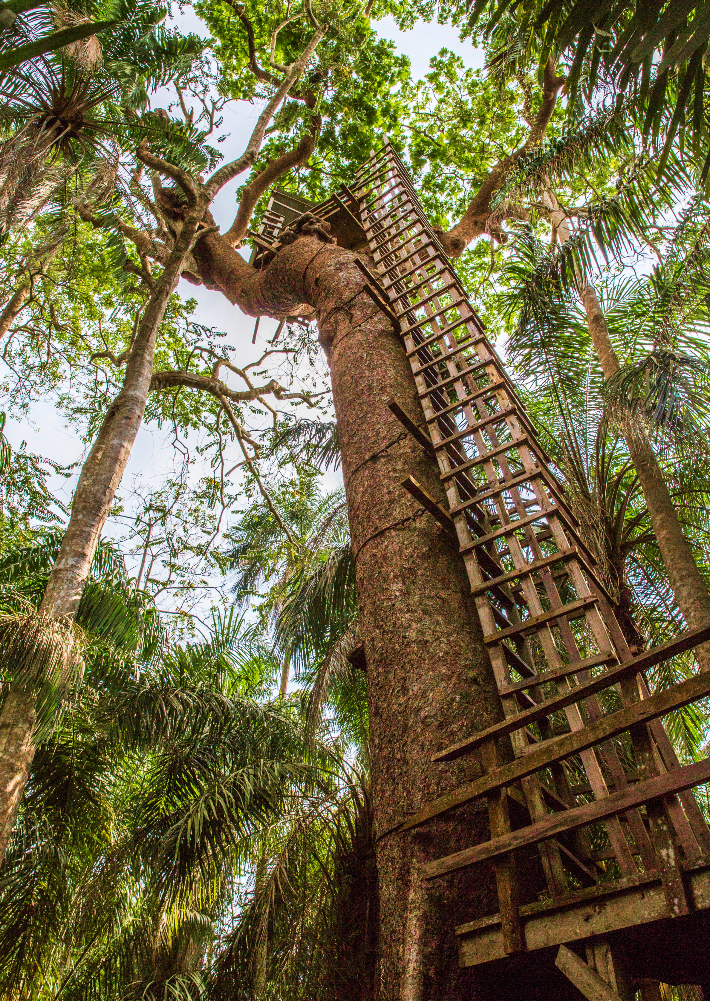 Lekki Conservation Centre