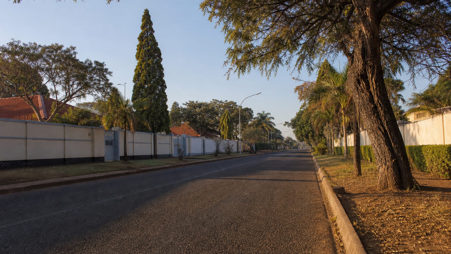 Lusaka travel guide: How to experience the city without rushing 15 Woodlands