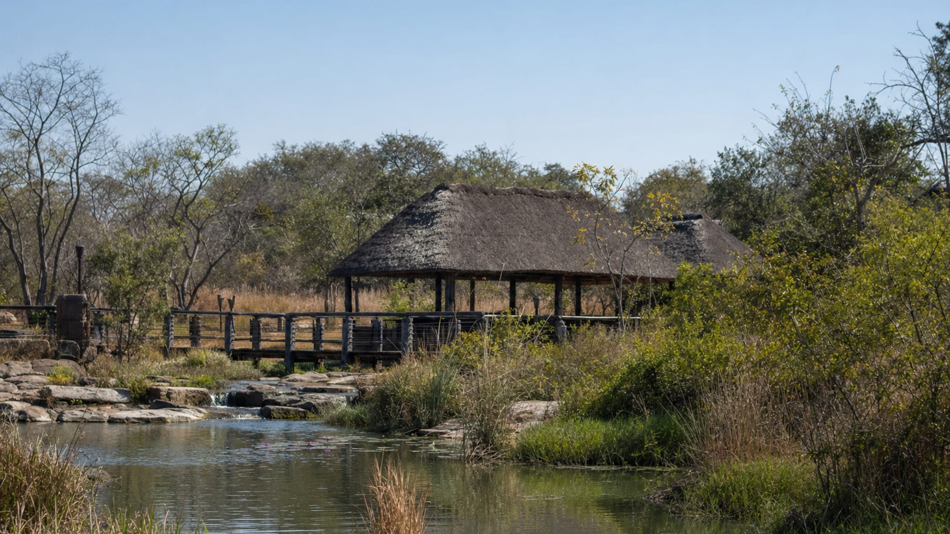 Lusaka travel guide: How to experience the city without rushing 28 Day 3: Munda Wanga and Woodlands