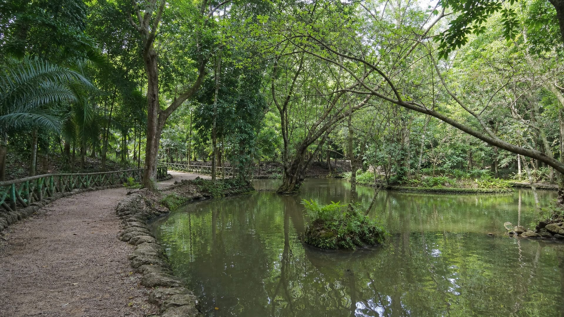 Mombasa travel guide: How to experience the city without rushing 29 Day 3: Haller Park and Bamburi
