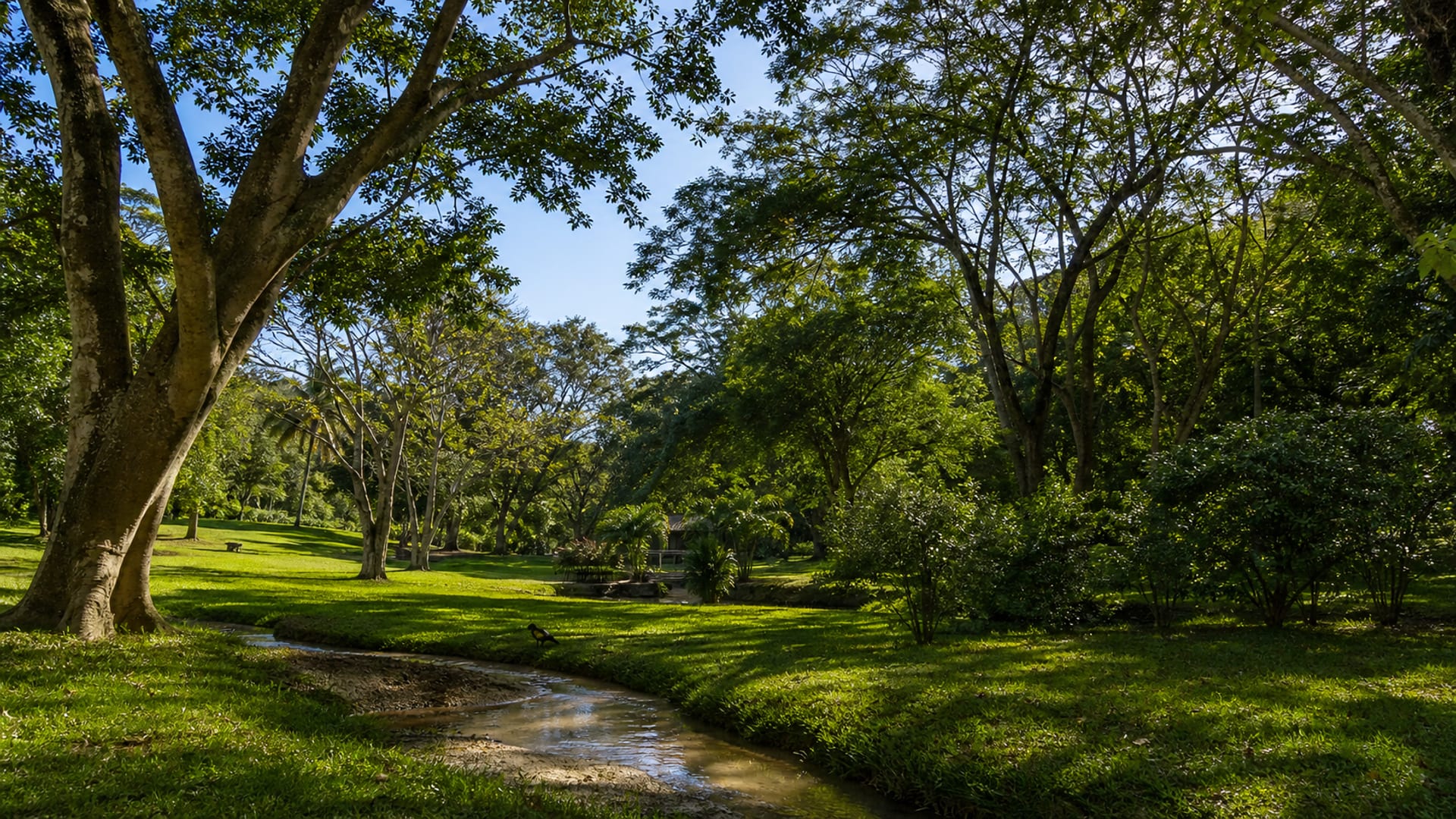 Mombasa travel guide: How to experience the city without rushing 22 Haller Park