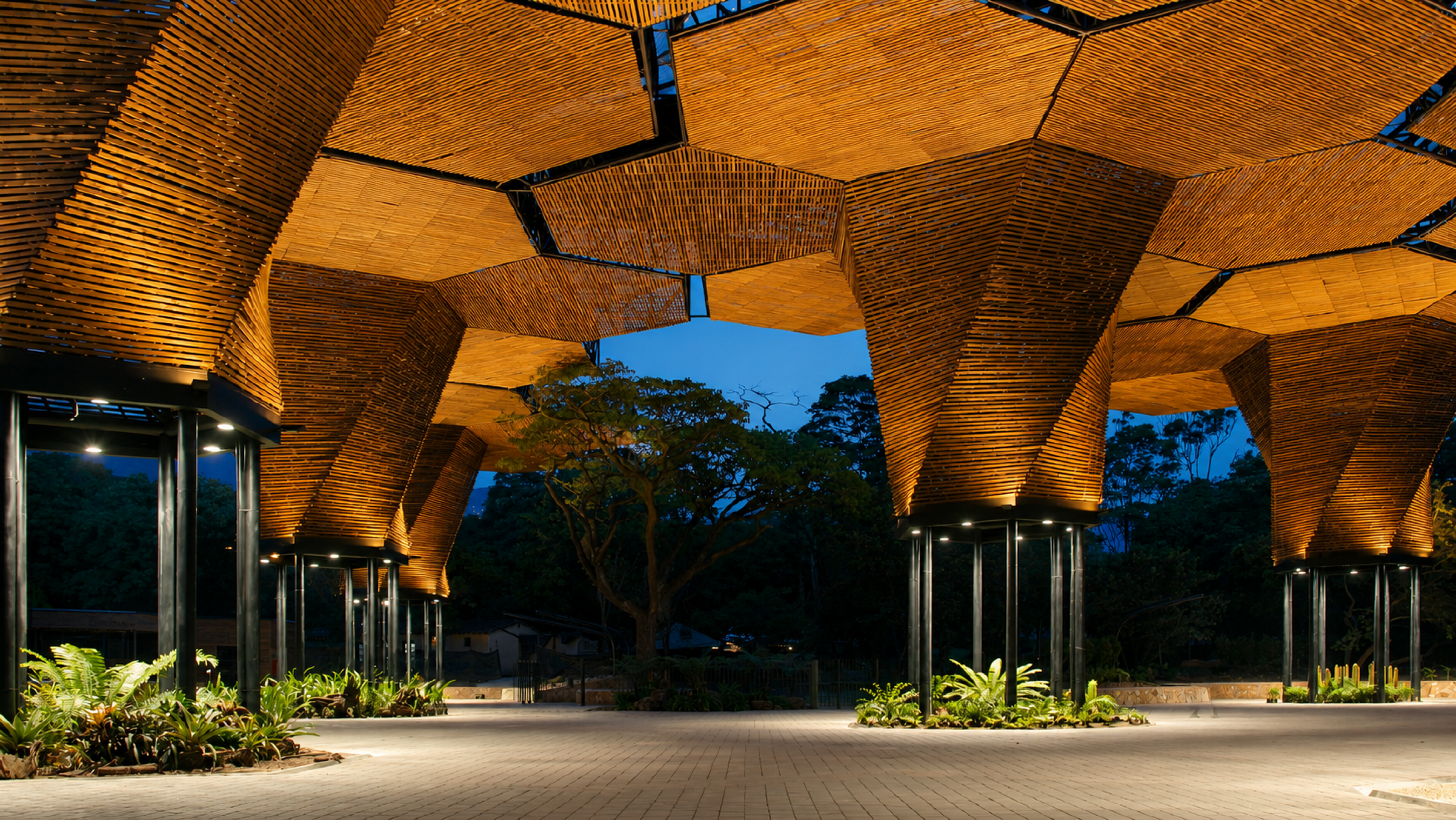 Medellín travel guide: How to experience the city without rushing 23 Jardín Botánico de Medellín