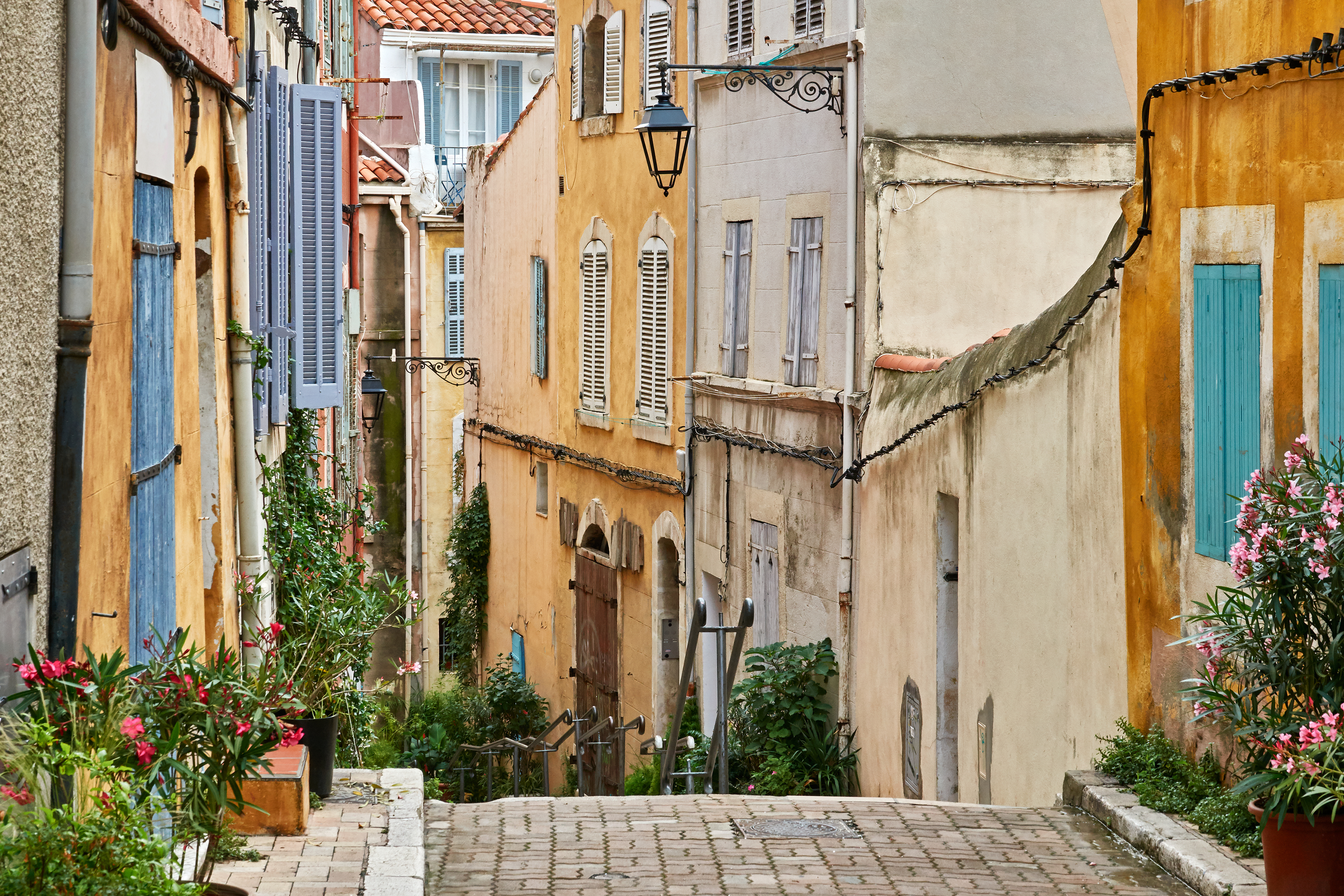 Le Panier
