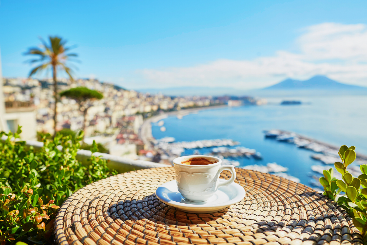 Day 5: Coffee, Browsing, and Departure