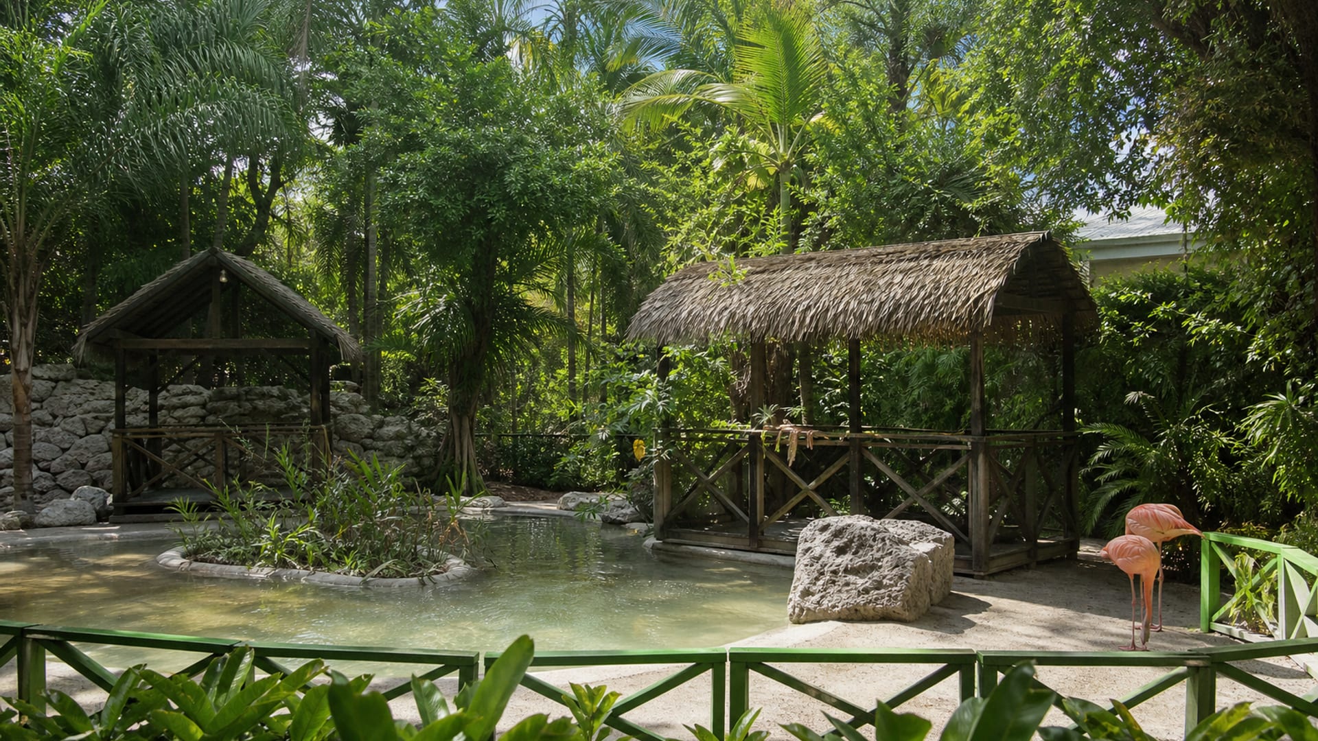 Nassau travel guide: How to experience the city without rushing 29 Day 3: Cable Beach and Ardastra Gardens