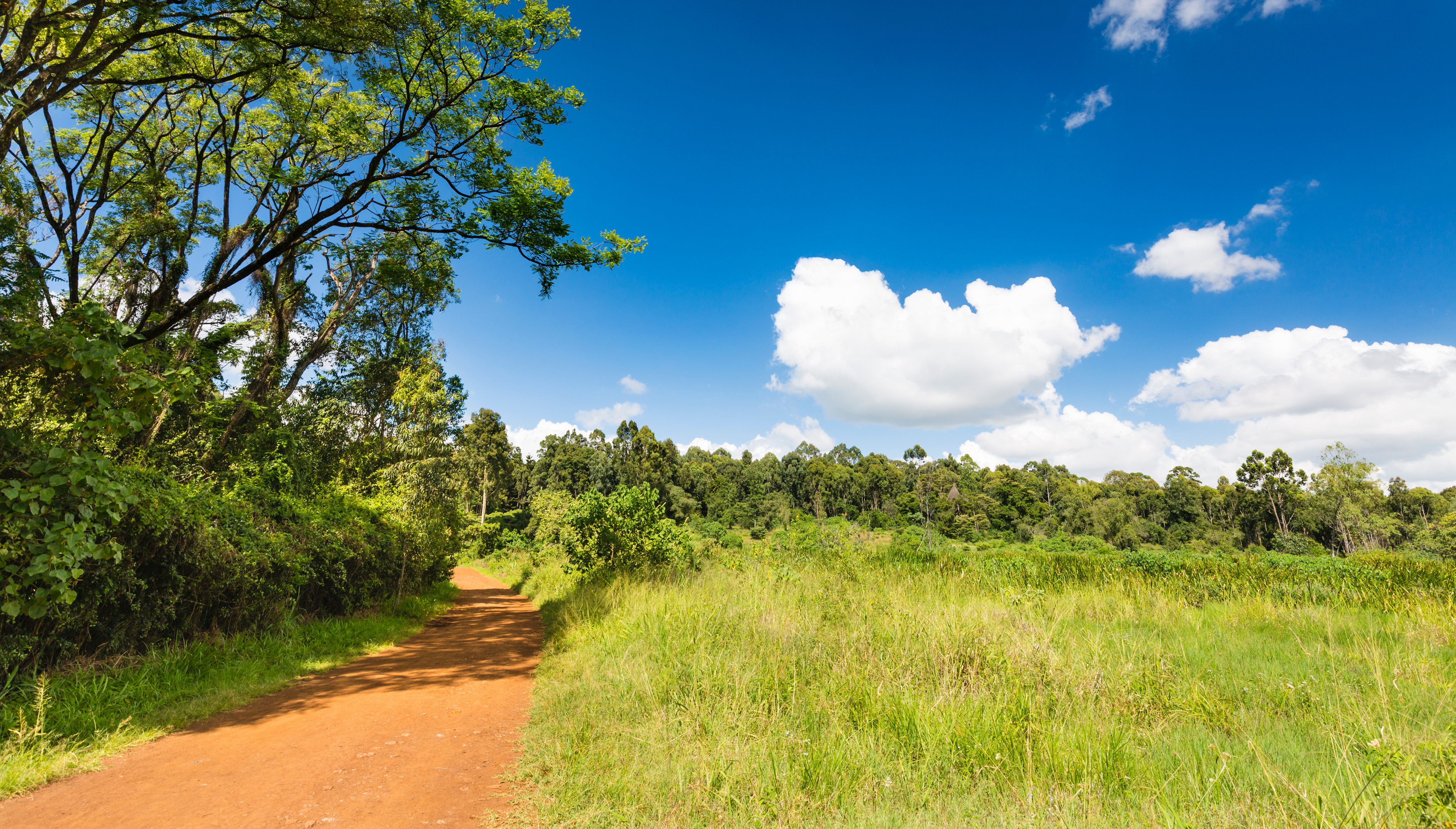 Nairobi travel guide: How to experience the city without rushing 28 Day 2: Museum and Karura