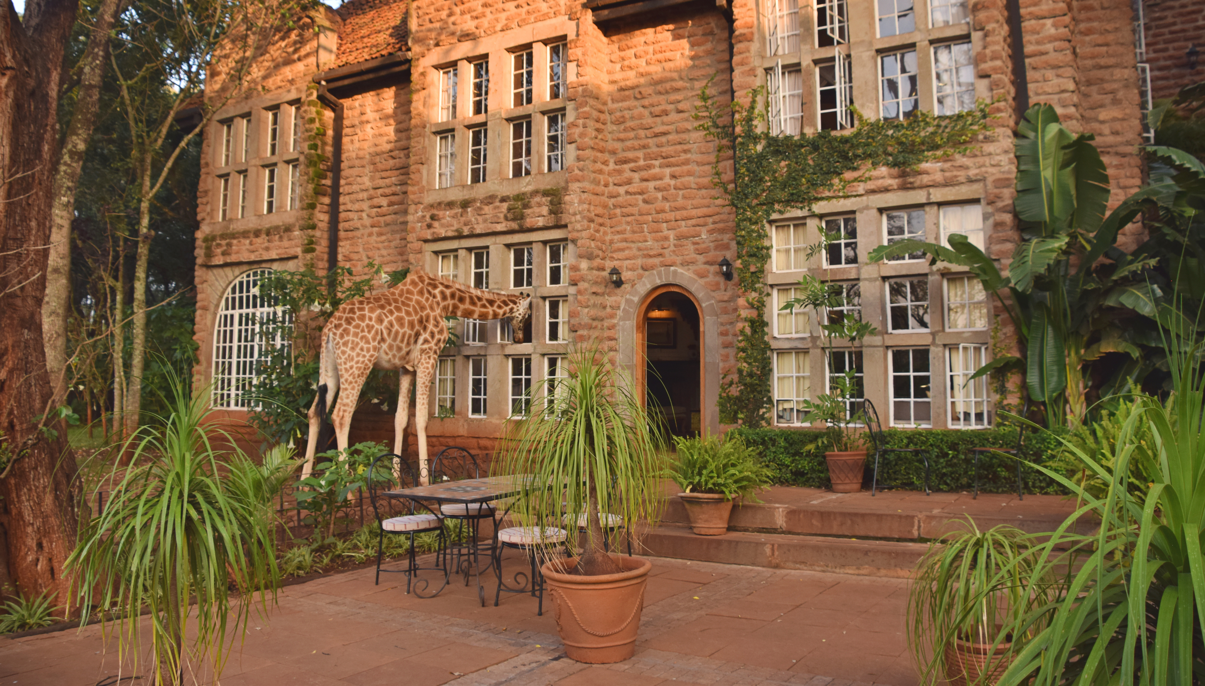 Nairobi travel guide: How to experience the city without rushing 30 Day 4: Wildlife and Gigiri