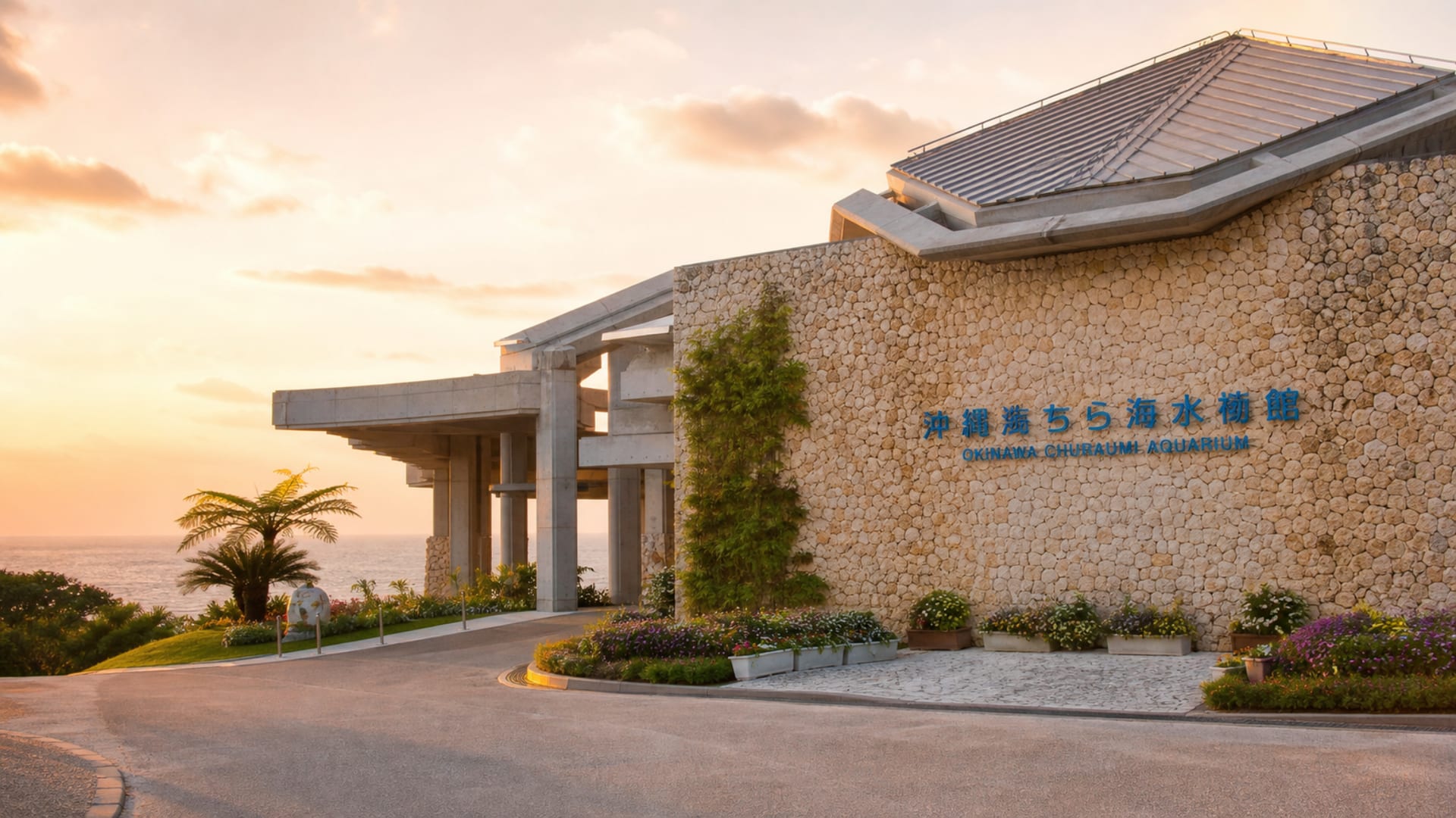 Okinawa travel guide: How to experience the city without rushing 22 Okinawa Churaumi Aquarium