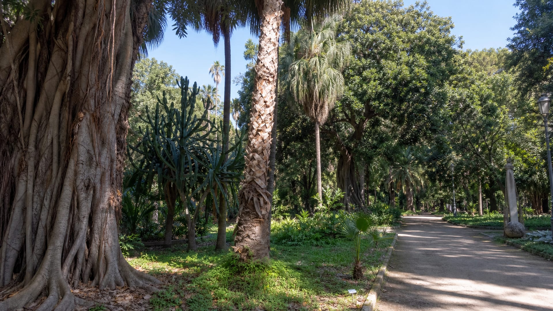 Palermo travel guide: How to experience the city without rushing 28 Day 3: Botanical Garden and La Kalsa
