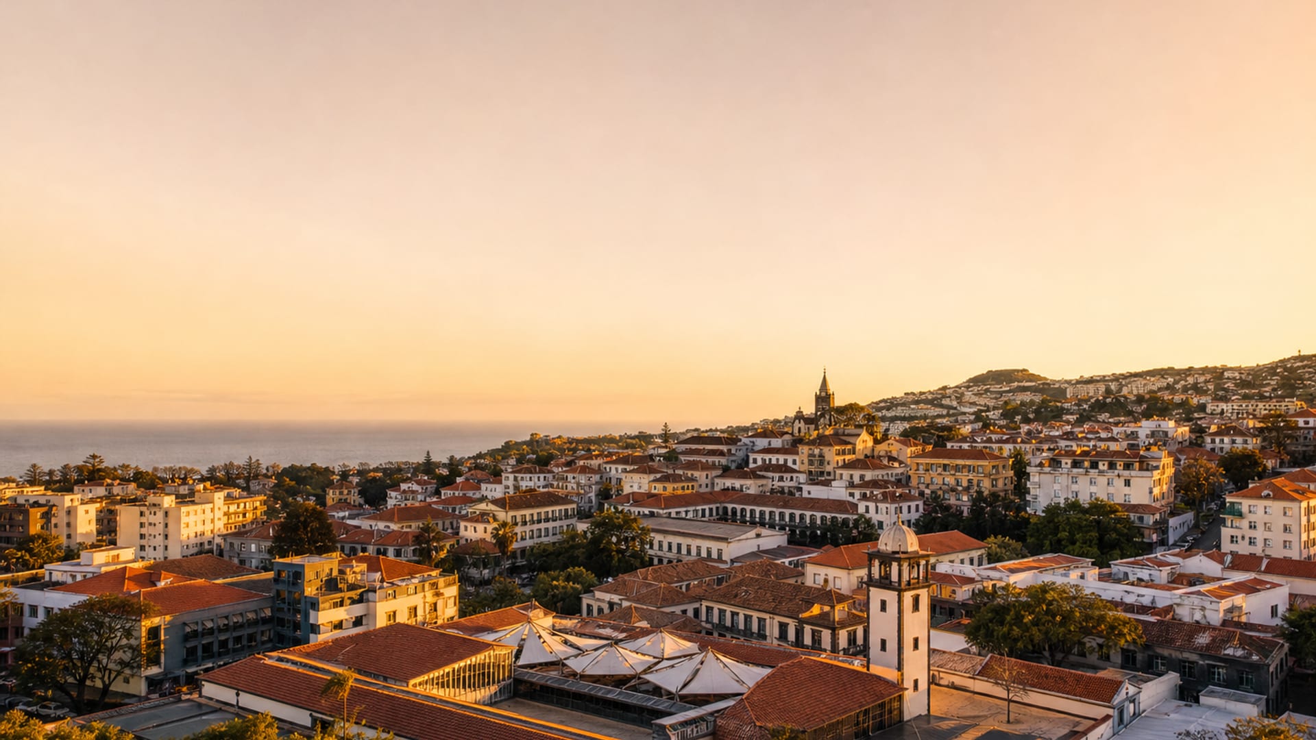 Puerto Vallarta travel guide: How to experience the city without rushing 15 5 de Diciembre