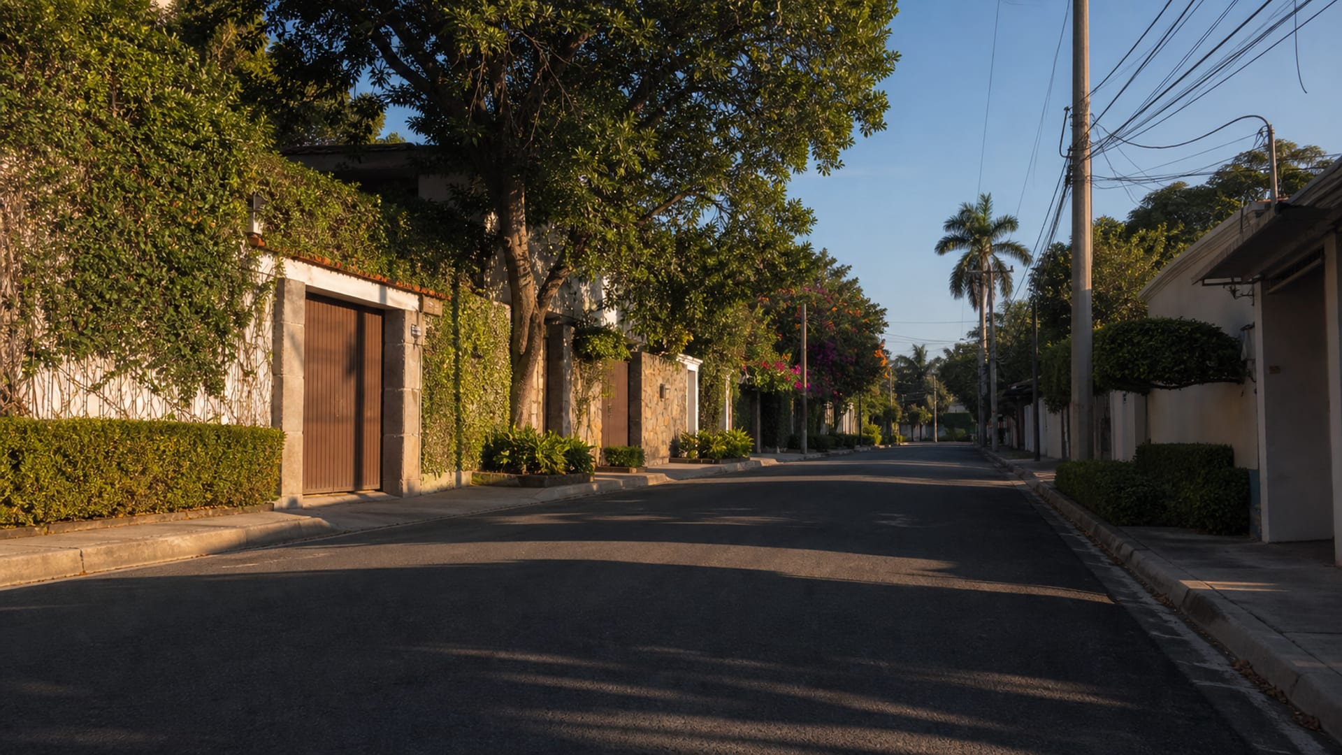 San Salvador travel guide: How to experience the city without rushing 15 Colonia Escalón