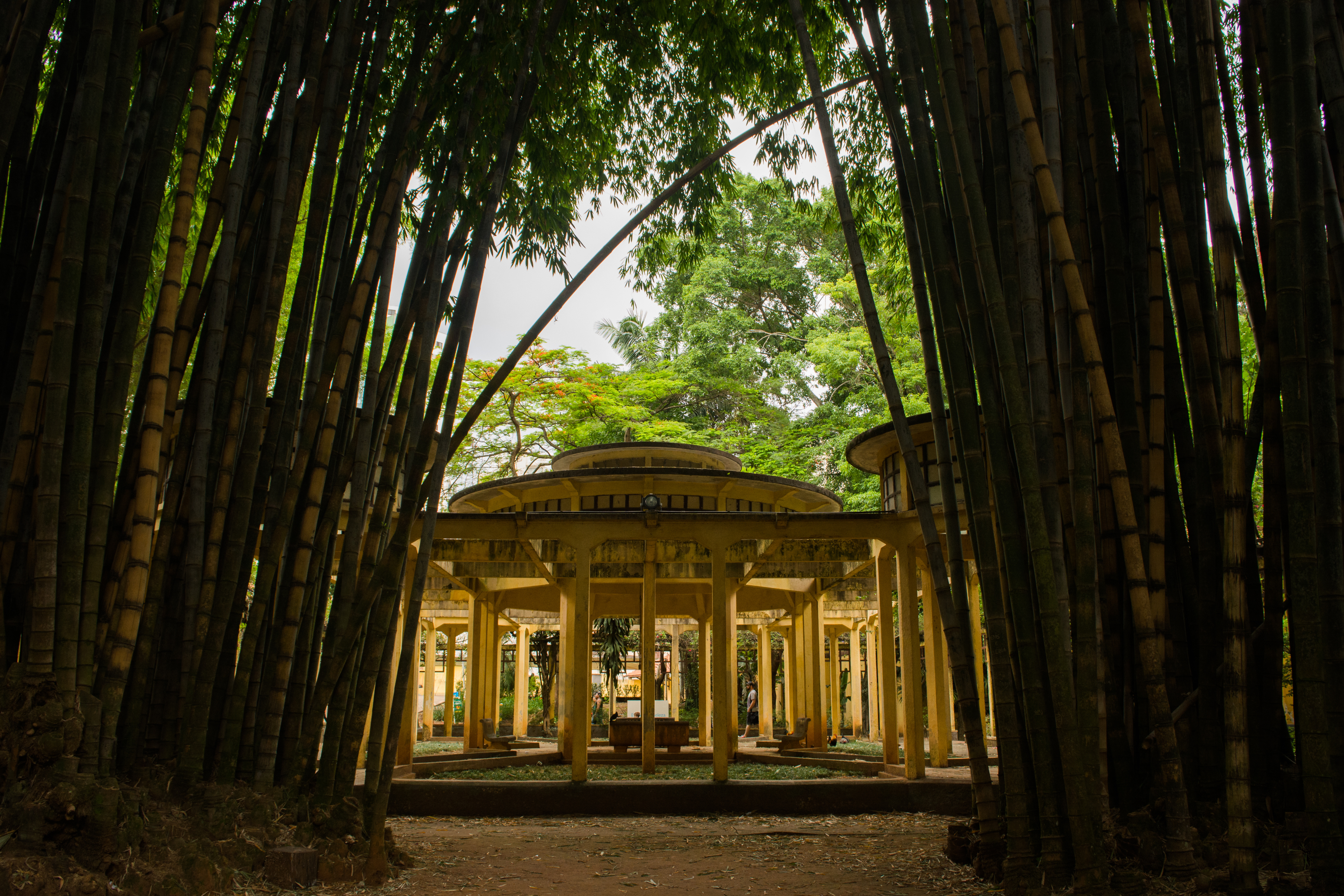 Parque da Água Branca