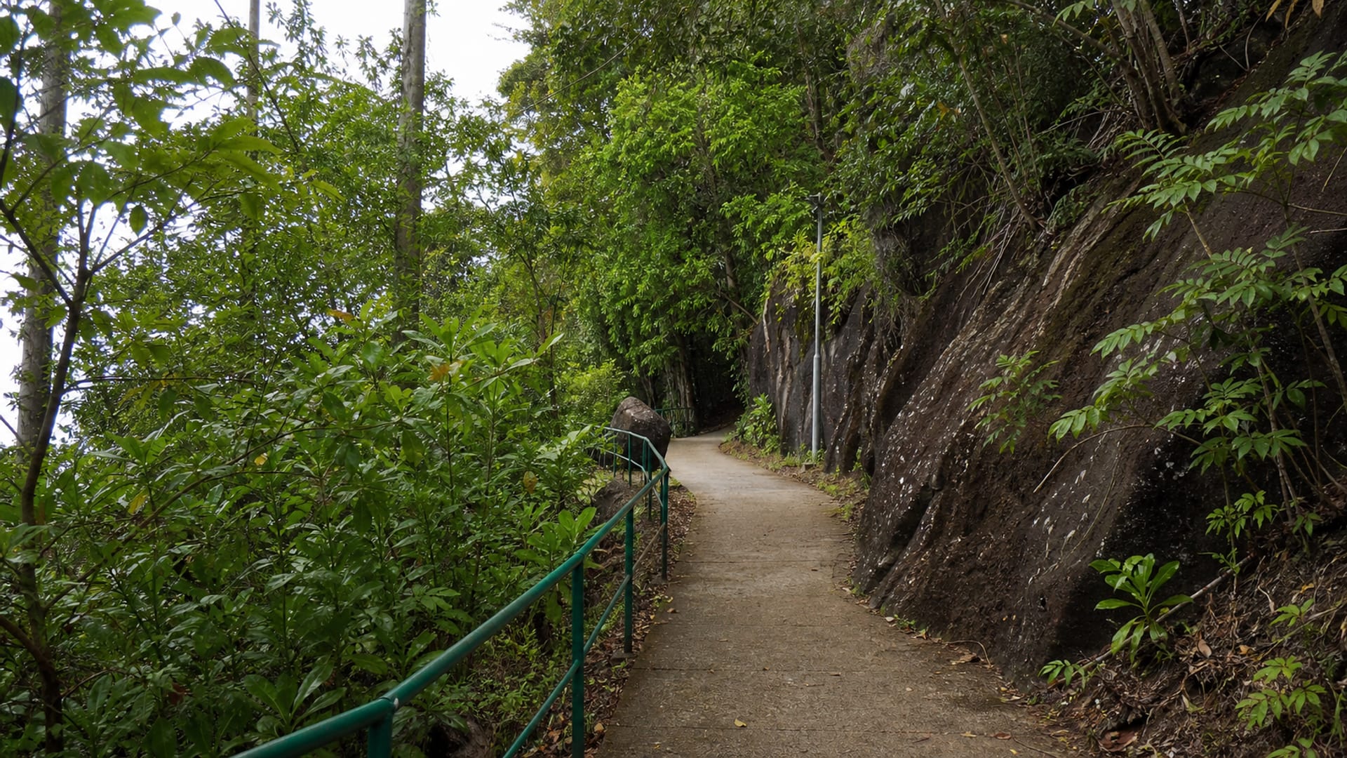 Mahé travel guide: How to experience the city without rushing 28 Day 2: Morne Seychellois Views