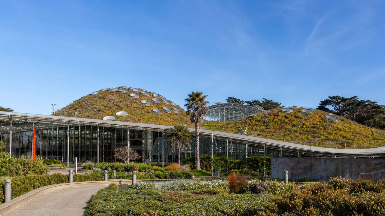 San Francisco travel guide: How to experience the city without rushing 23 California Academy of Sciences
