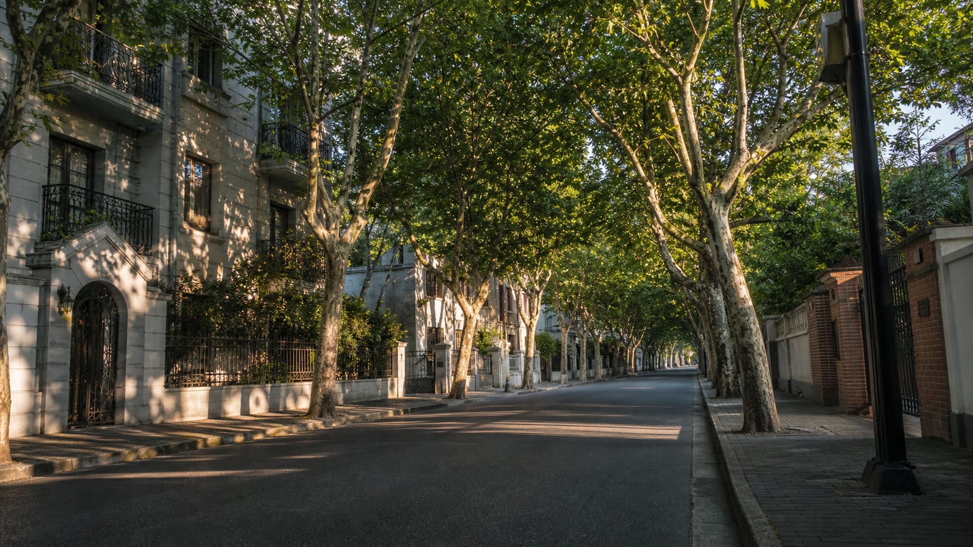 Shanghai travel guide: How to experience the city without rushing 16 French Concession
